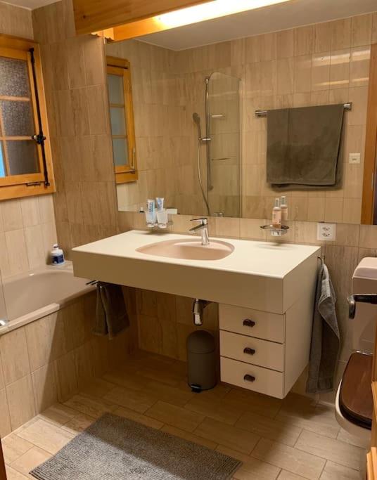 Magnifique chalet appartement à Villars, vue sur les alpes