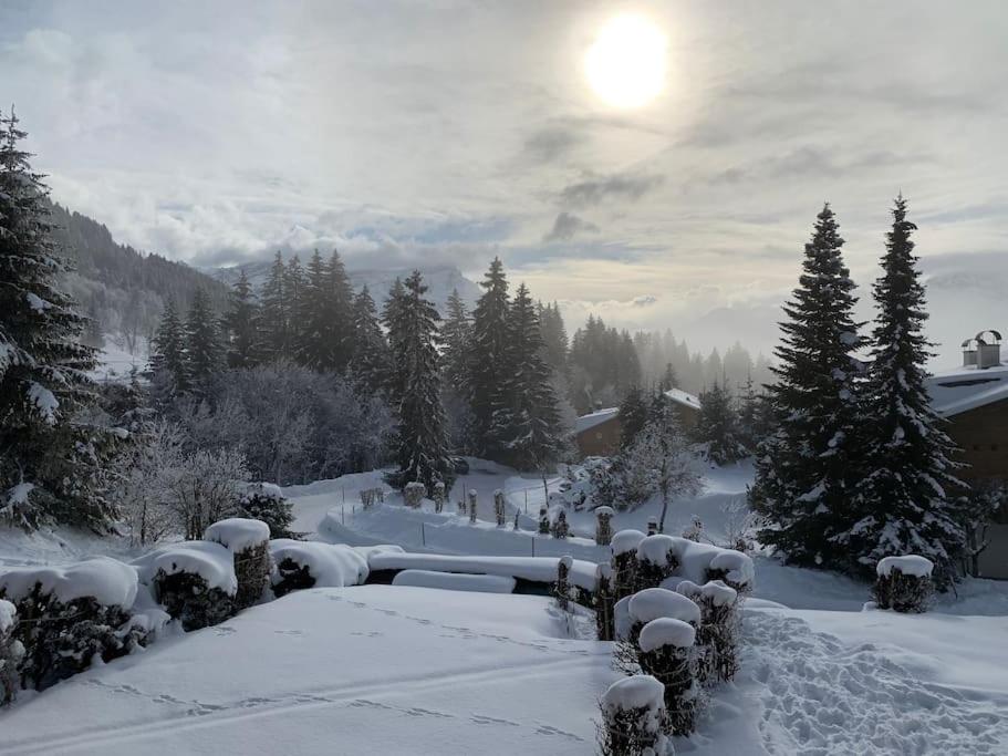 Magnifique chalet appartement à Villars, vue sur les alpes