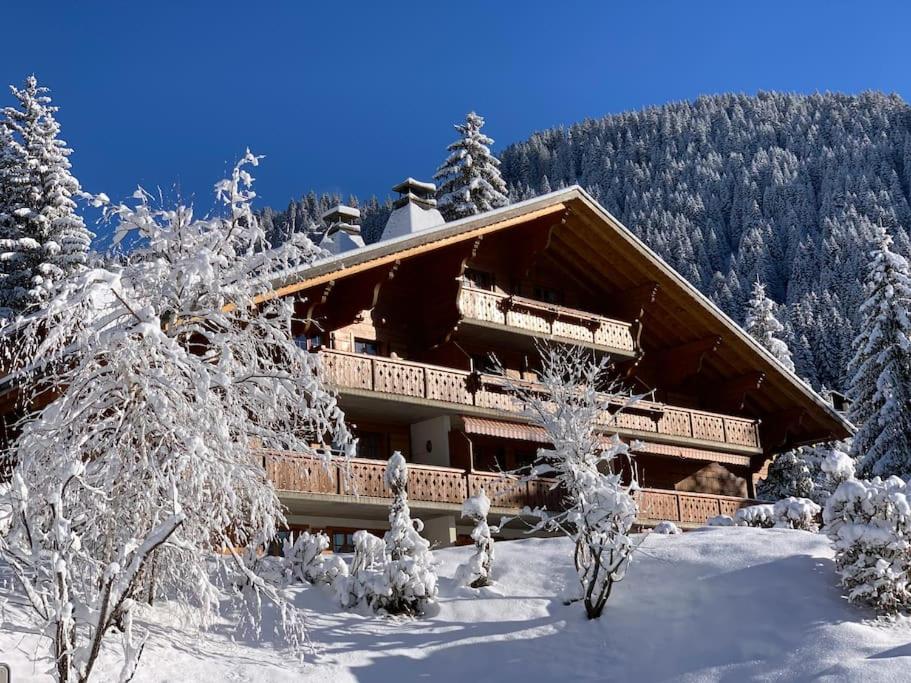 Magnifique chalet appartement à Villars, vue sur les alpes