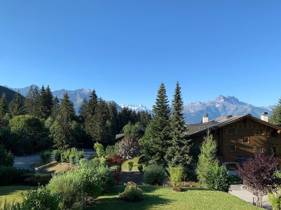 Magnifique chalet appartement à Villars, vue sur les alpes