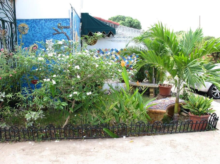 Art House view 4