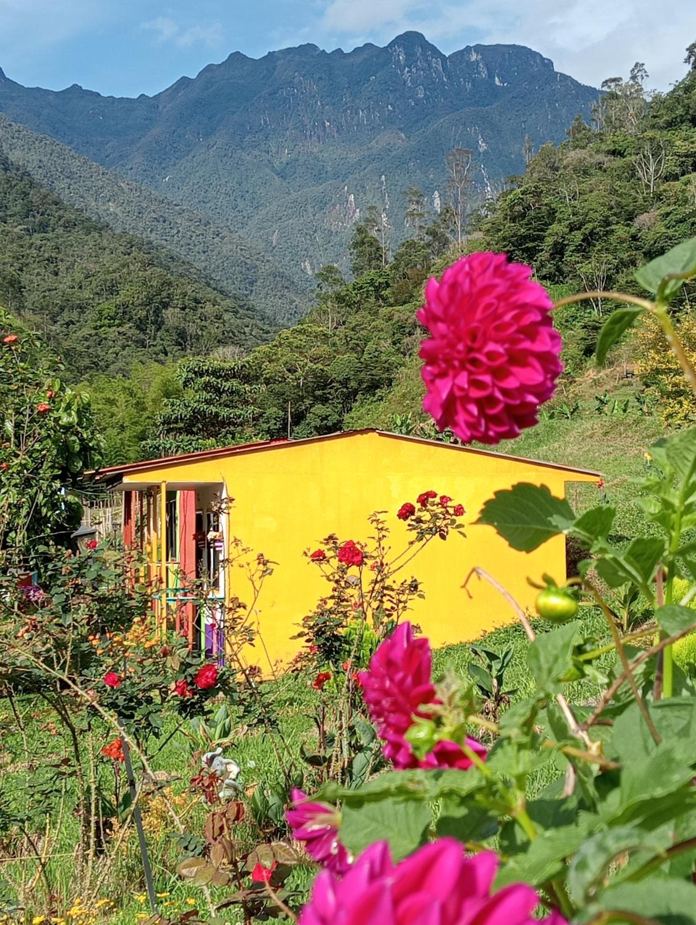 Cabañas Jardines del Tatama