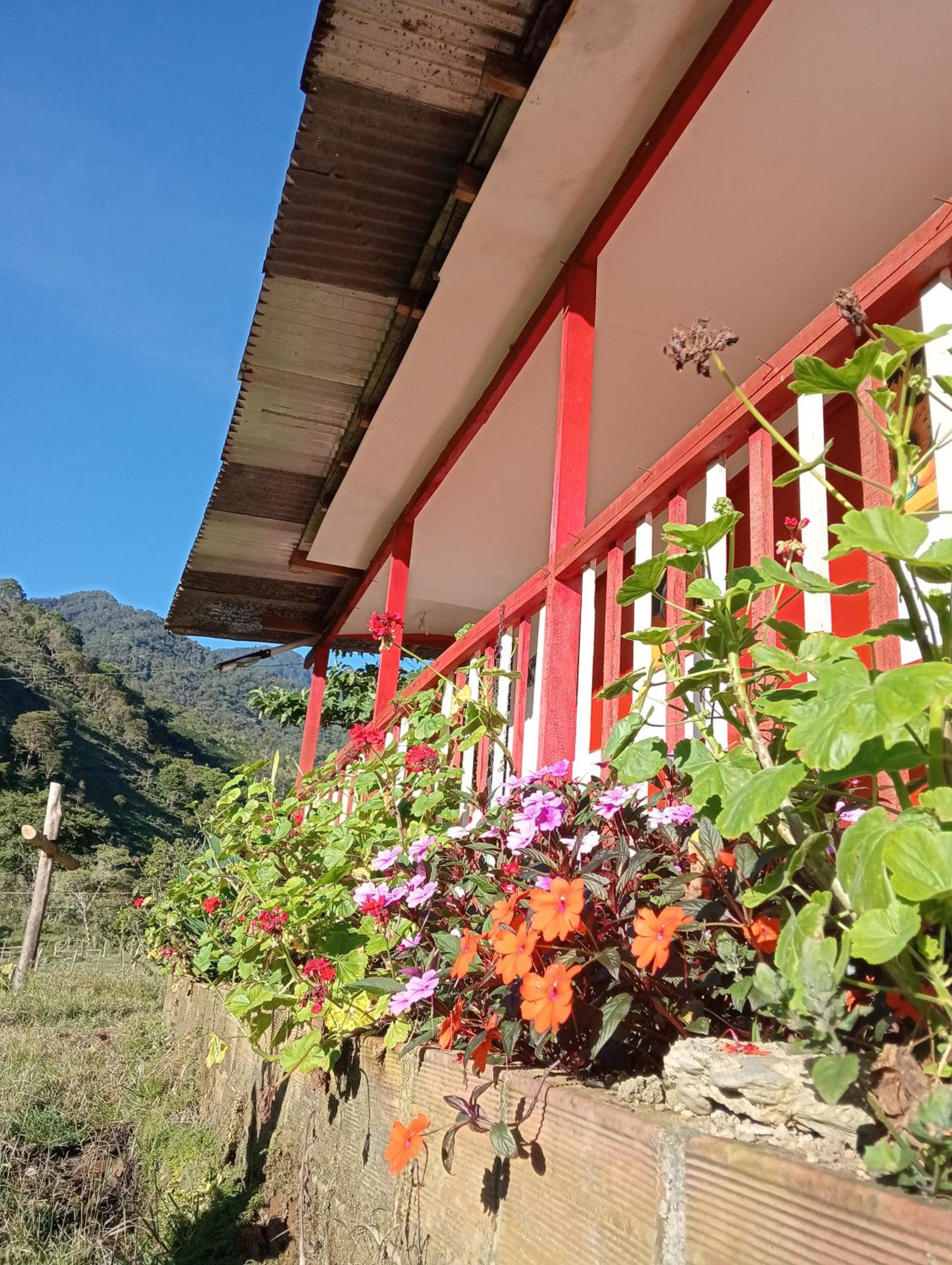 Cabañas Jardines del Tatama