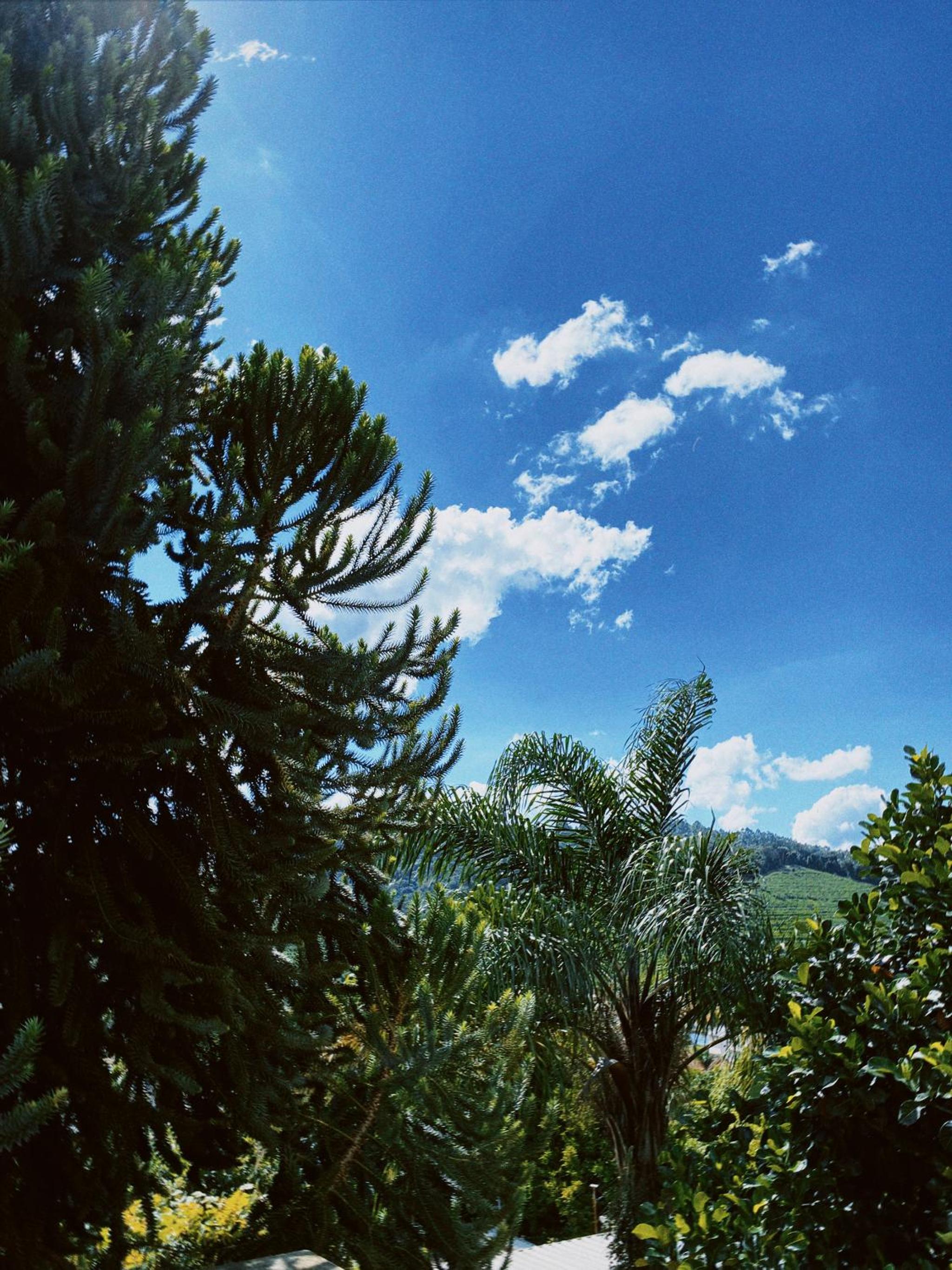Vista Bela Pousada