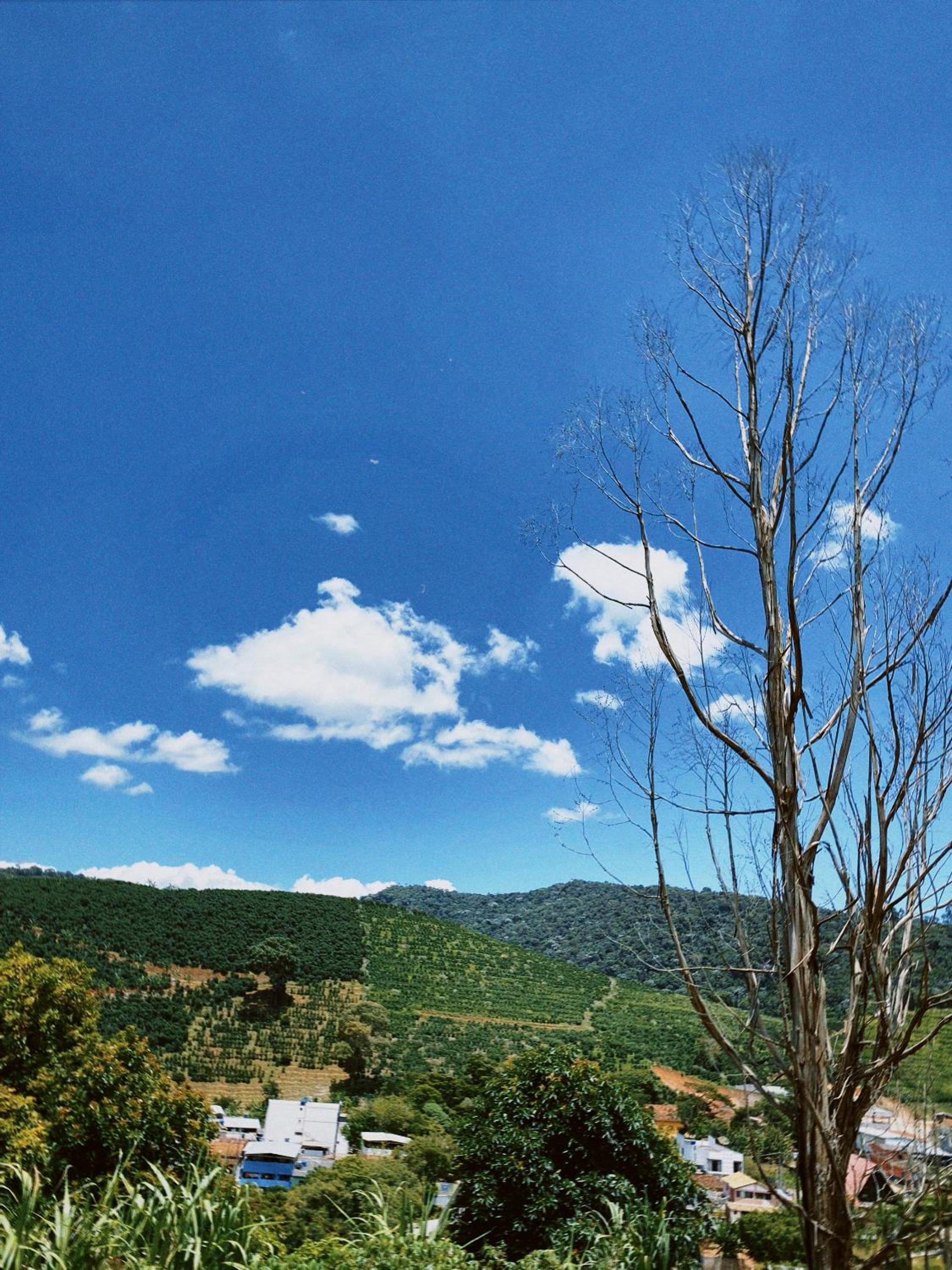 Vista Bela Pousada