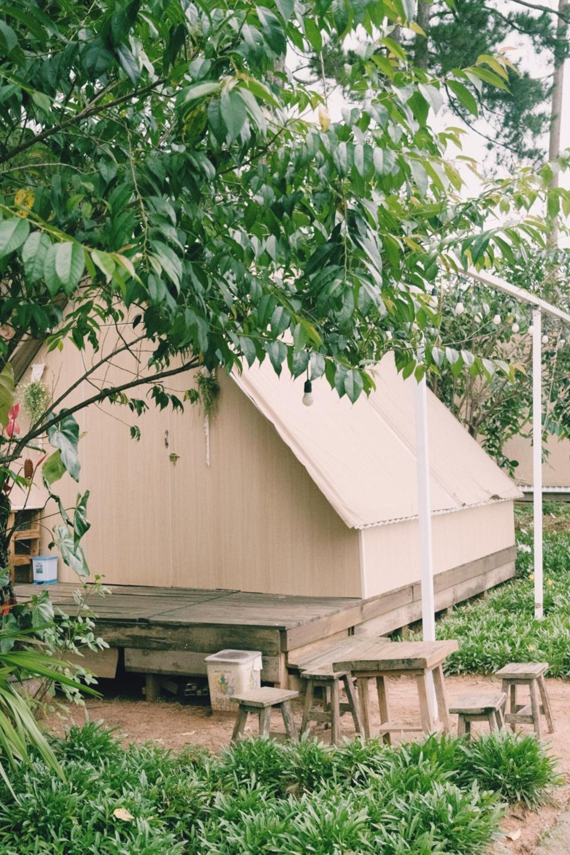Amikaje Farm view 2