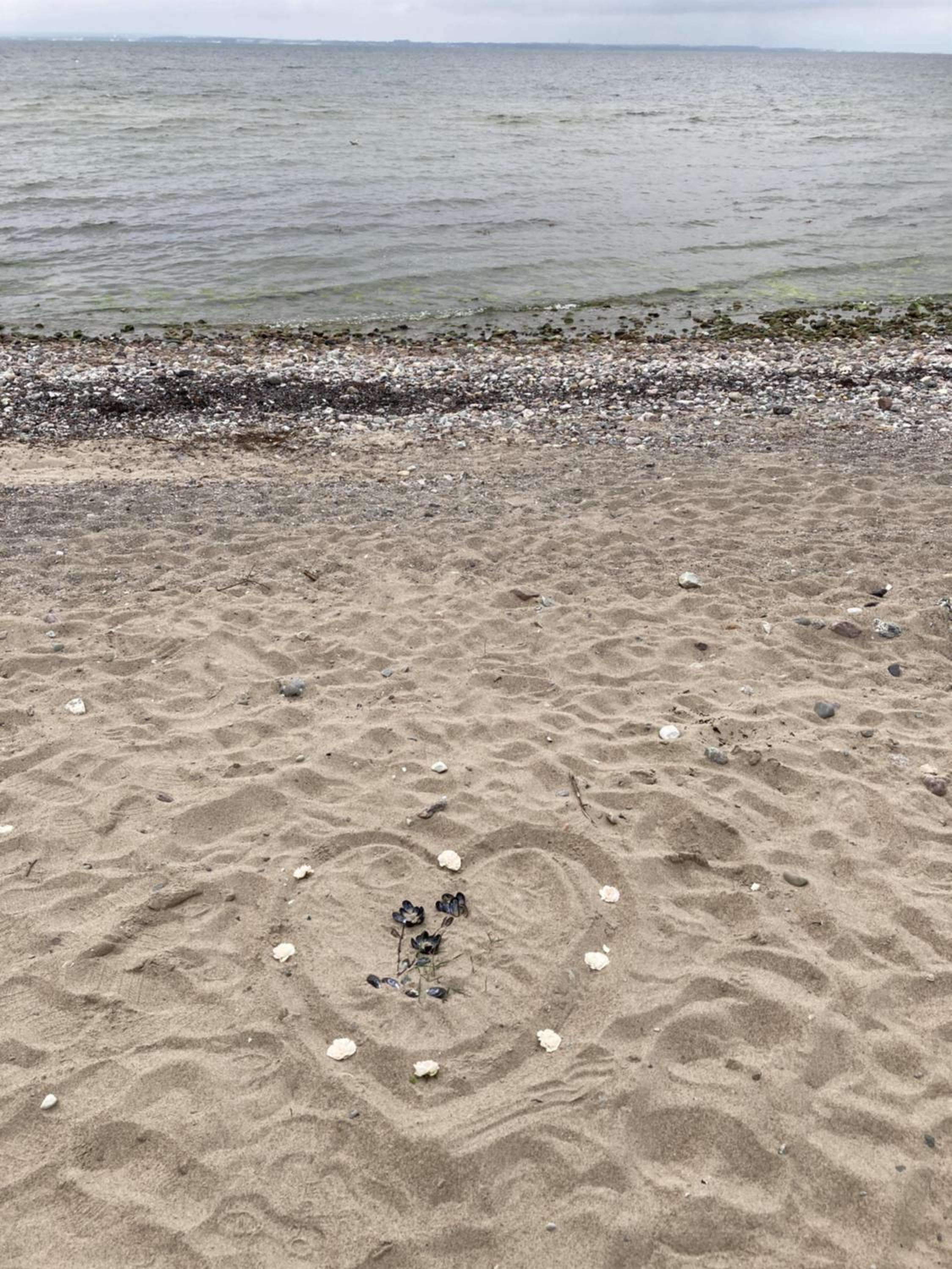 Ferienwohnung Meerblick-Ostsee