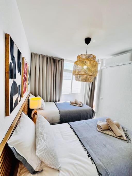 Apartamento Lagarto