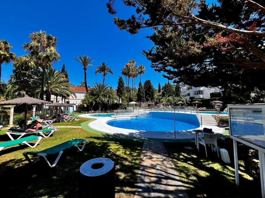 Apartamento Lagarto