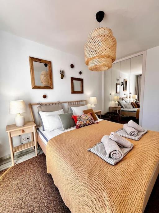Apartamento Lagarto