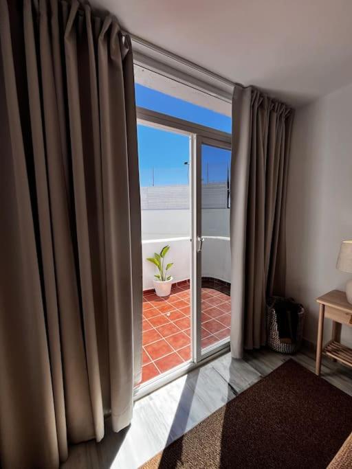 Apartamento Lagarto