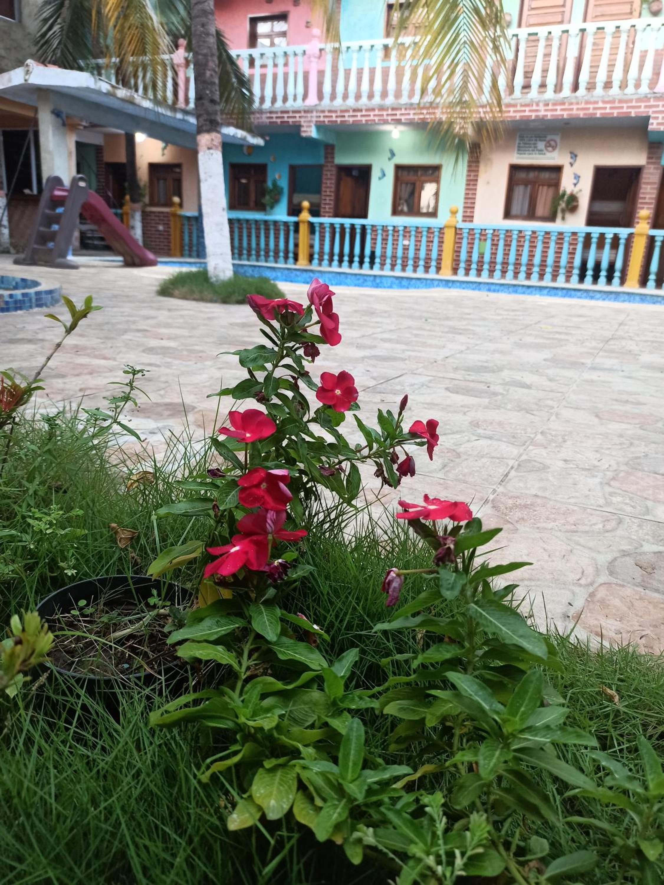 Photo 25
