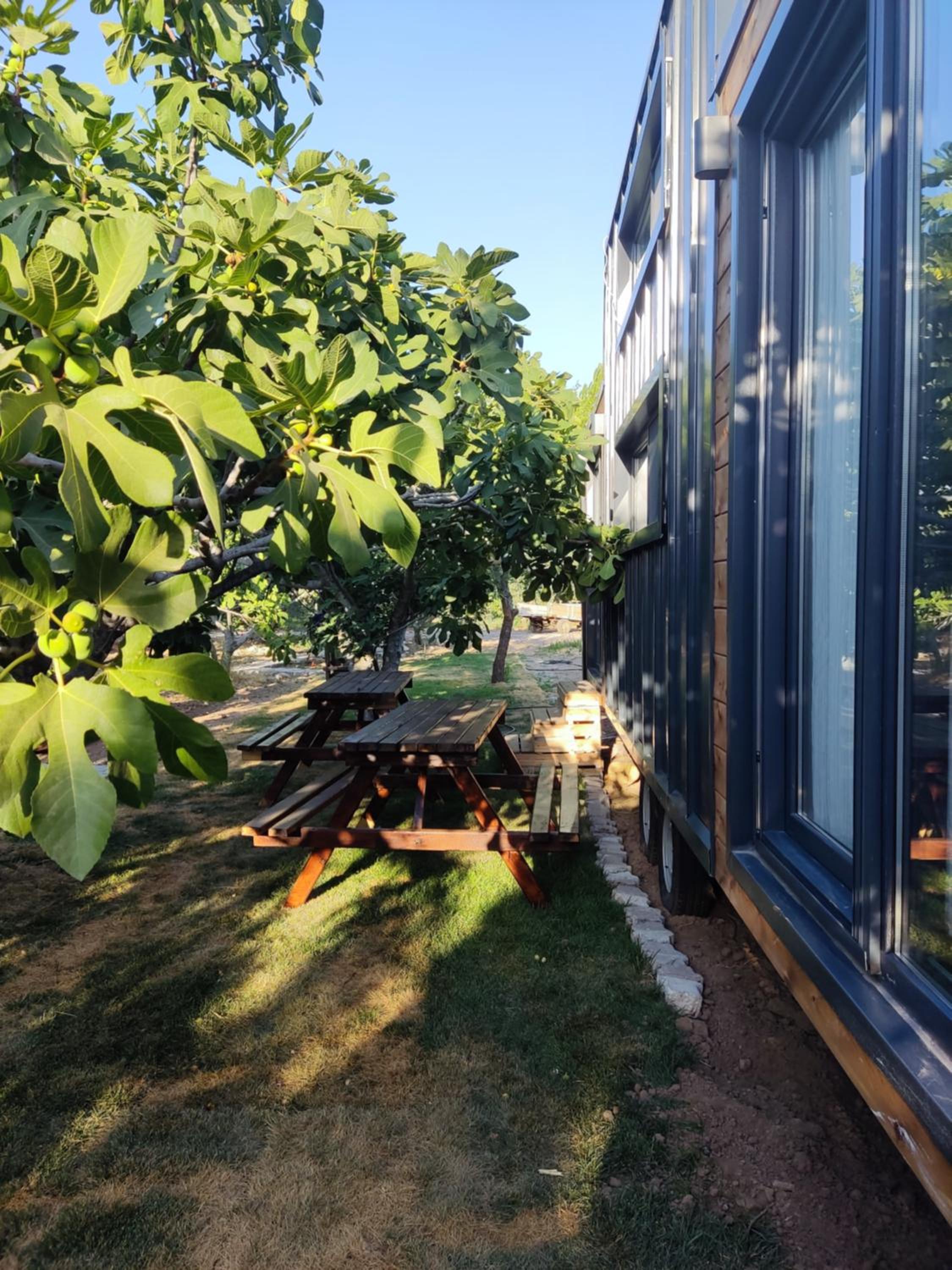 Dikili ZeyTiny House