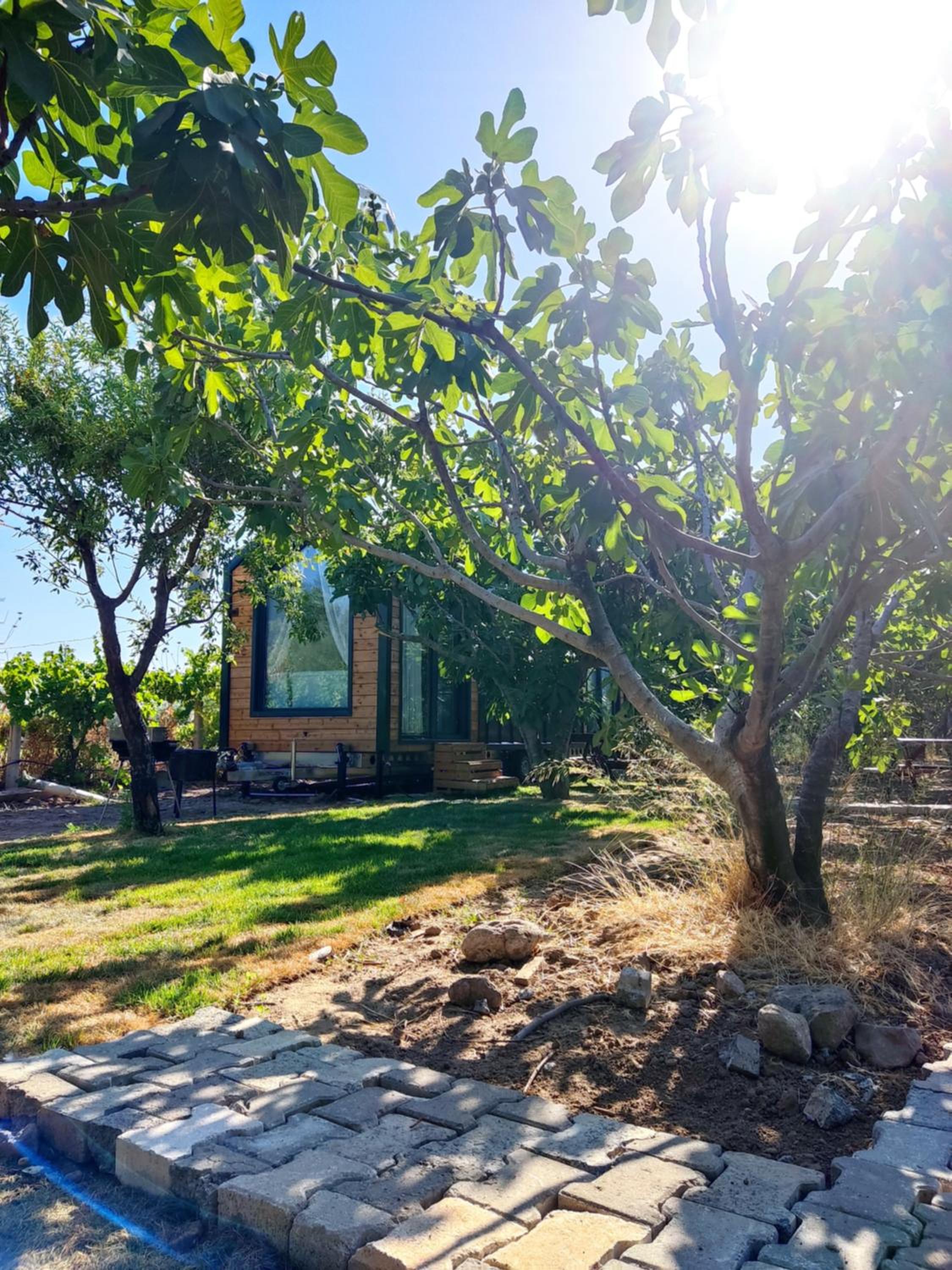 Dikili ZeyTiny House