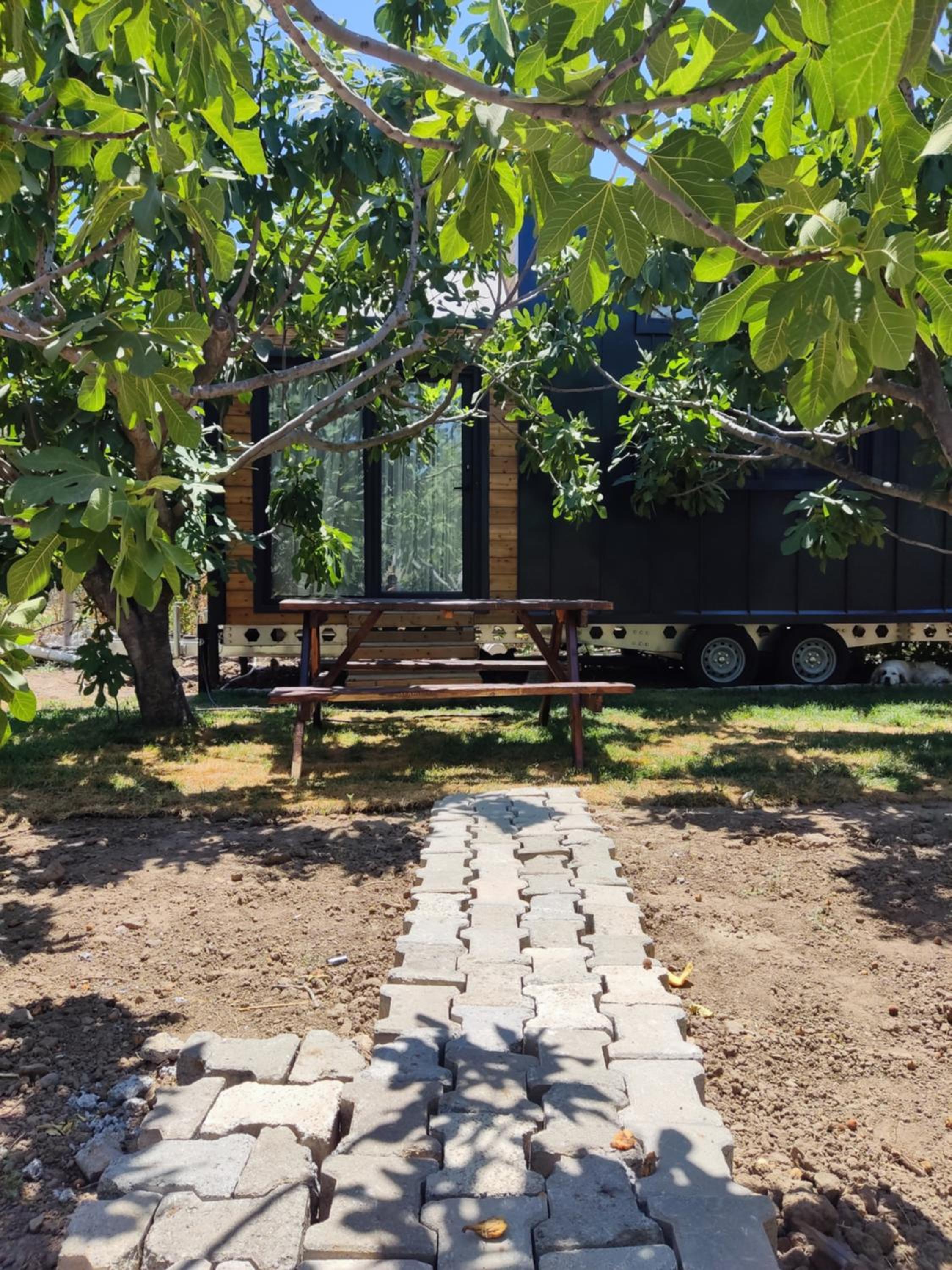 Dikili ZeyTiny House