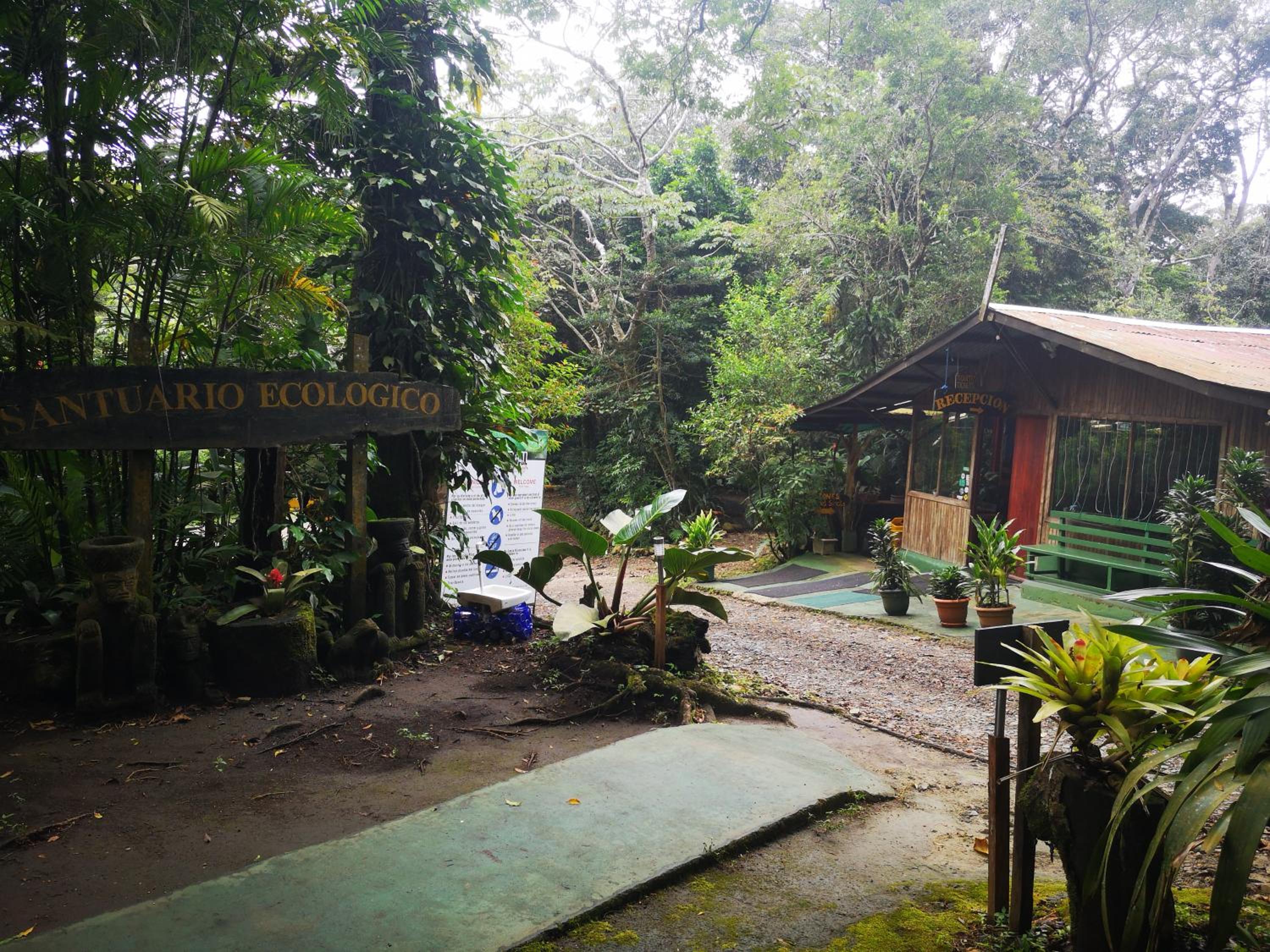 Santuario Ecologico Monteverde