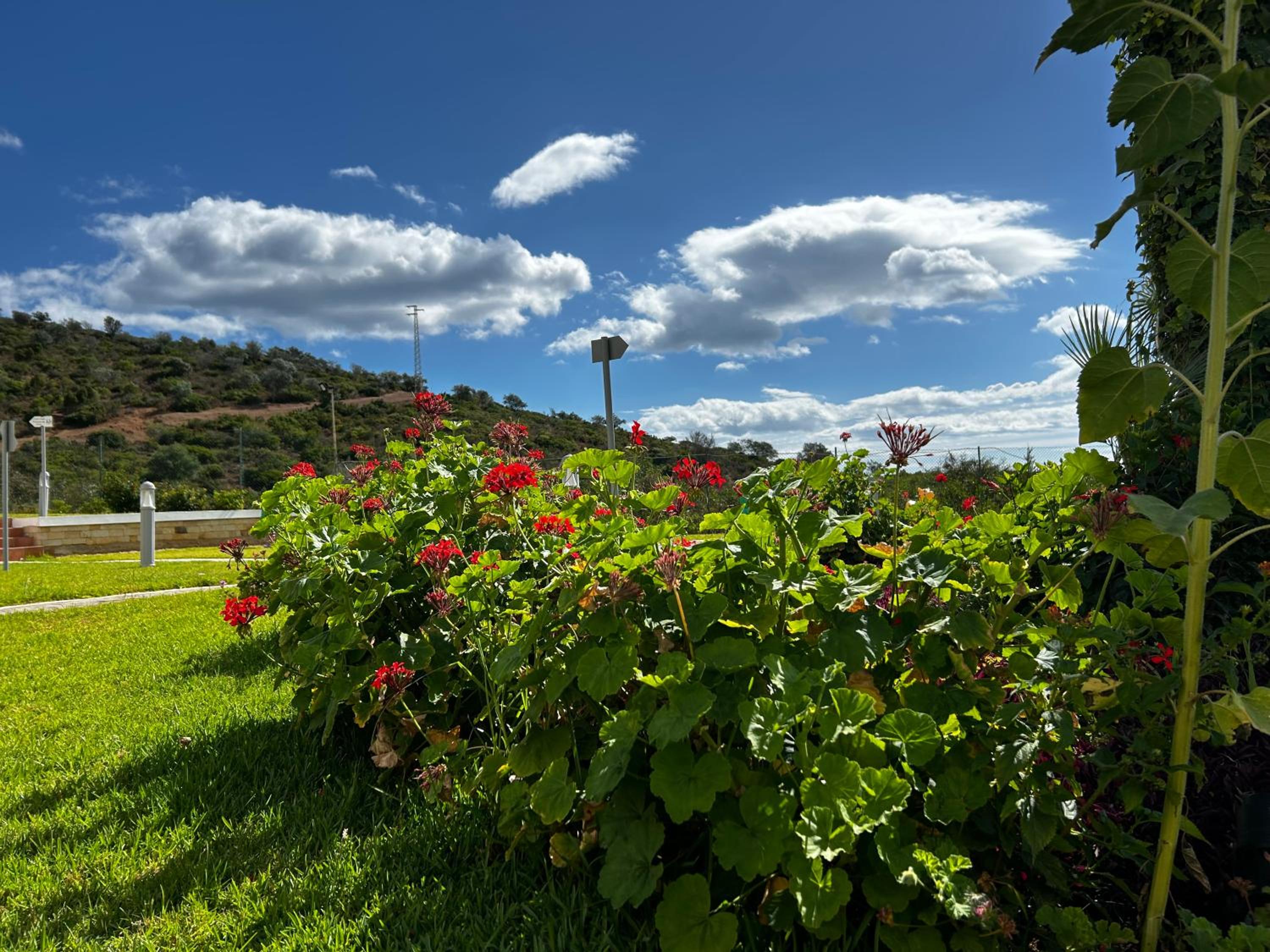 Serene & Joyful Retreat - Breathtaking view view 2