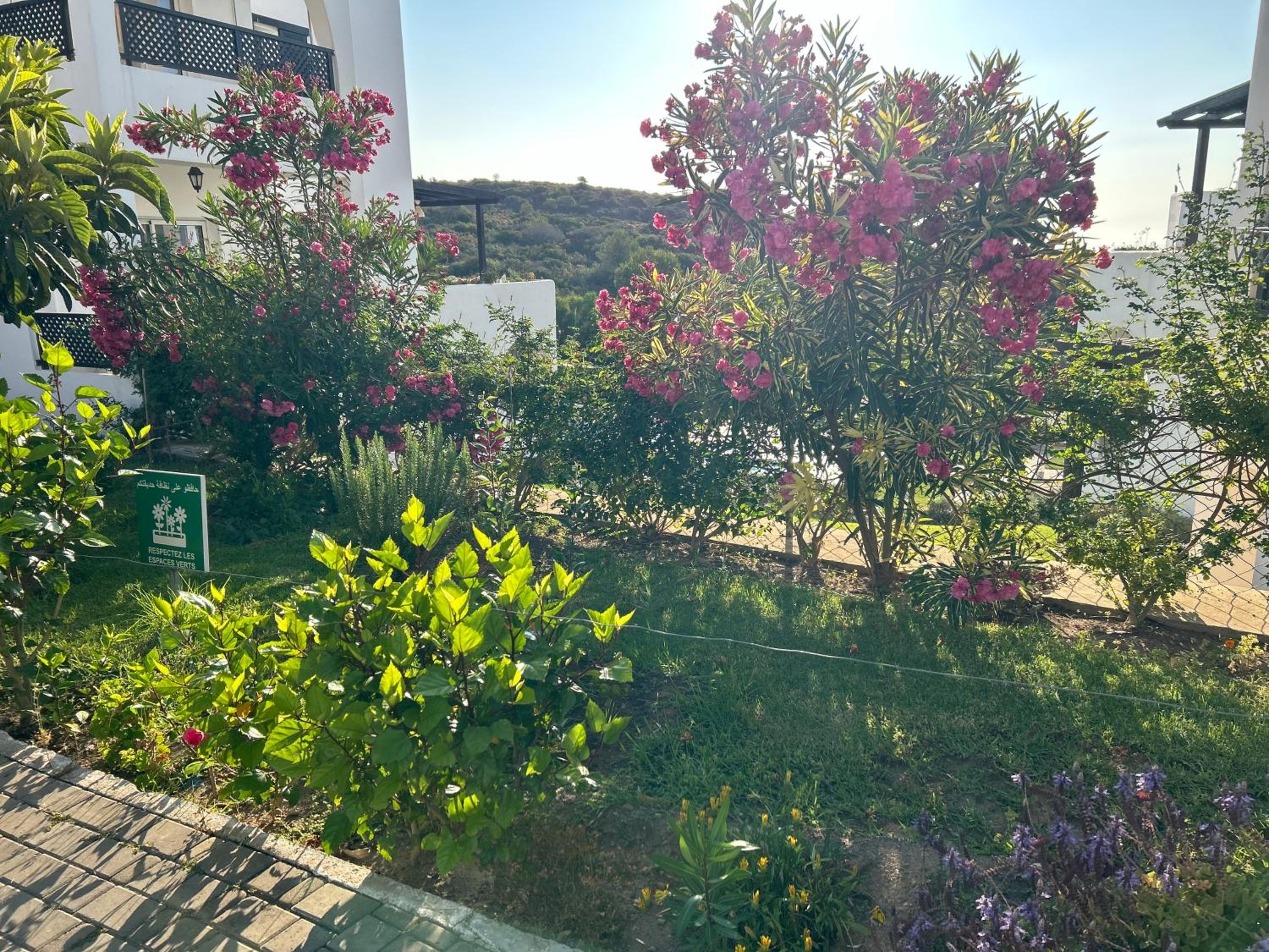 Serene & Joyful Retreat - Breathtaking view view 4