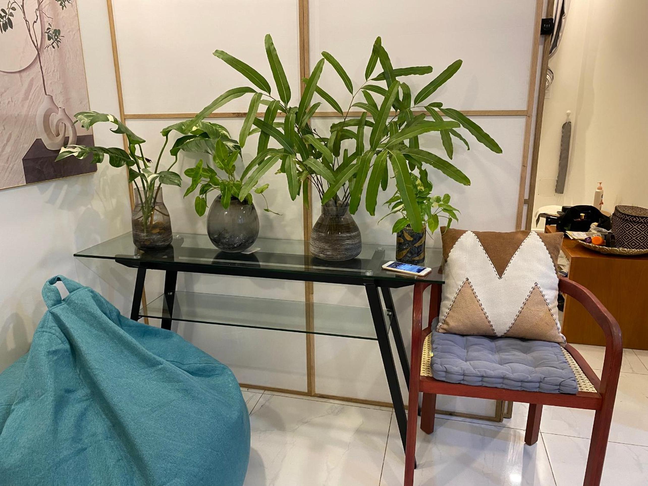Apartment Terra Royal homestay