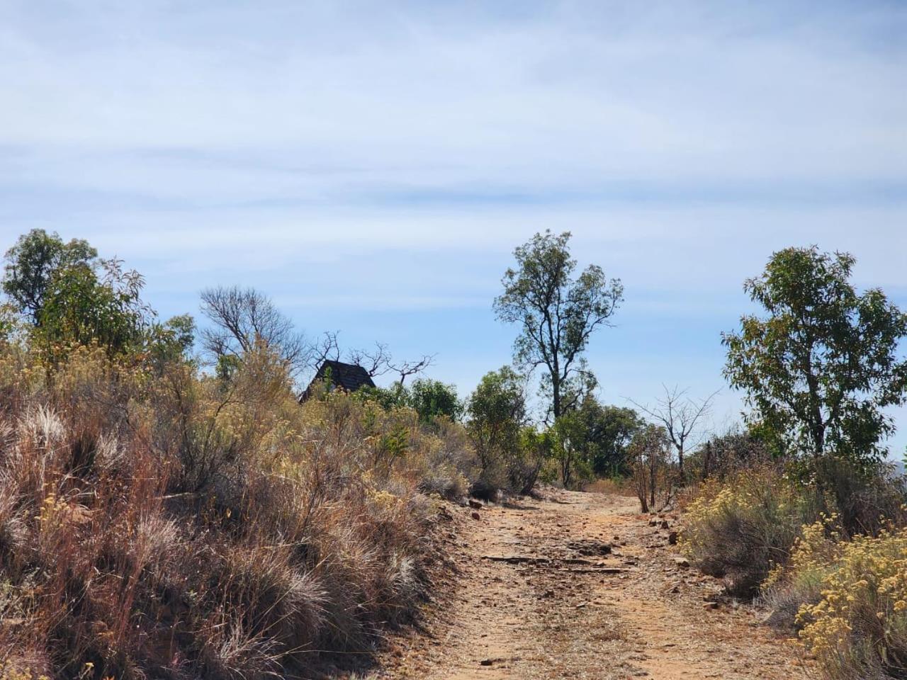 Tonquani Bush Chalet