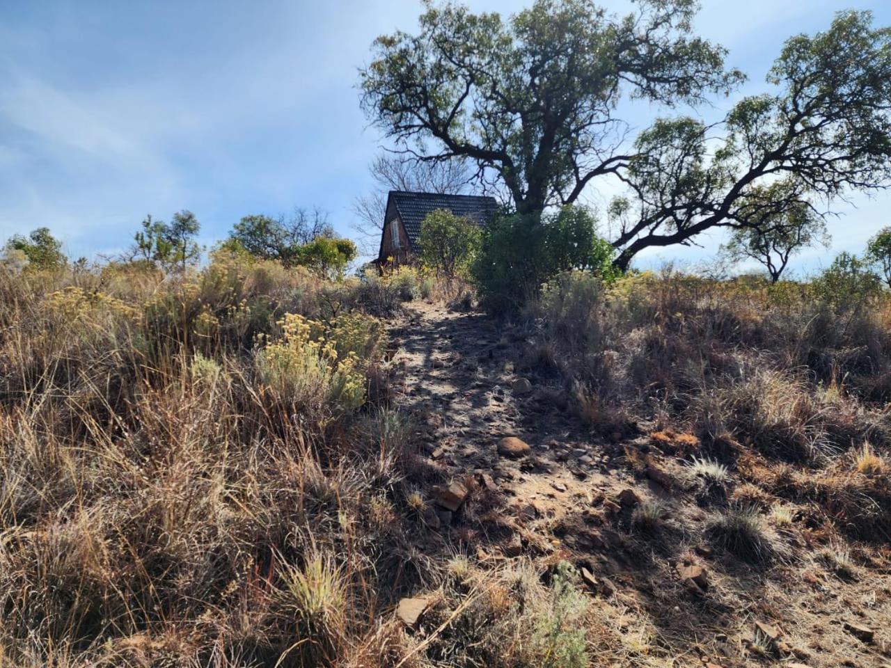 Tonquani Bush Chalet