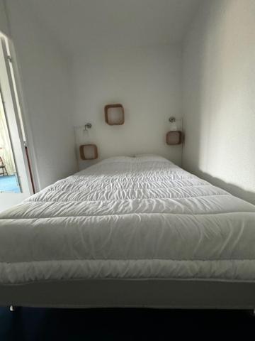 Appartement Pla d'Adet Saint Lary
