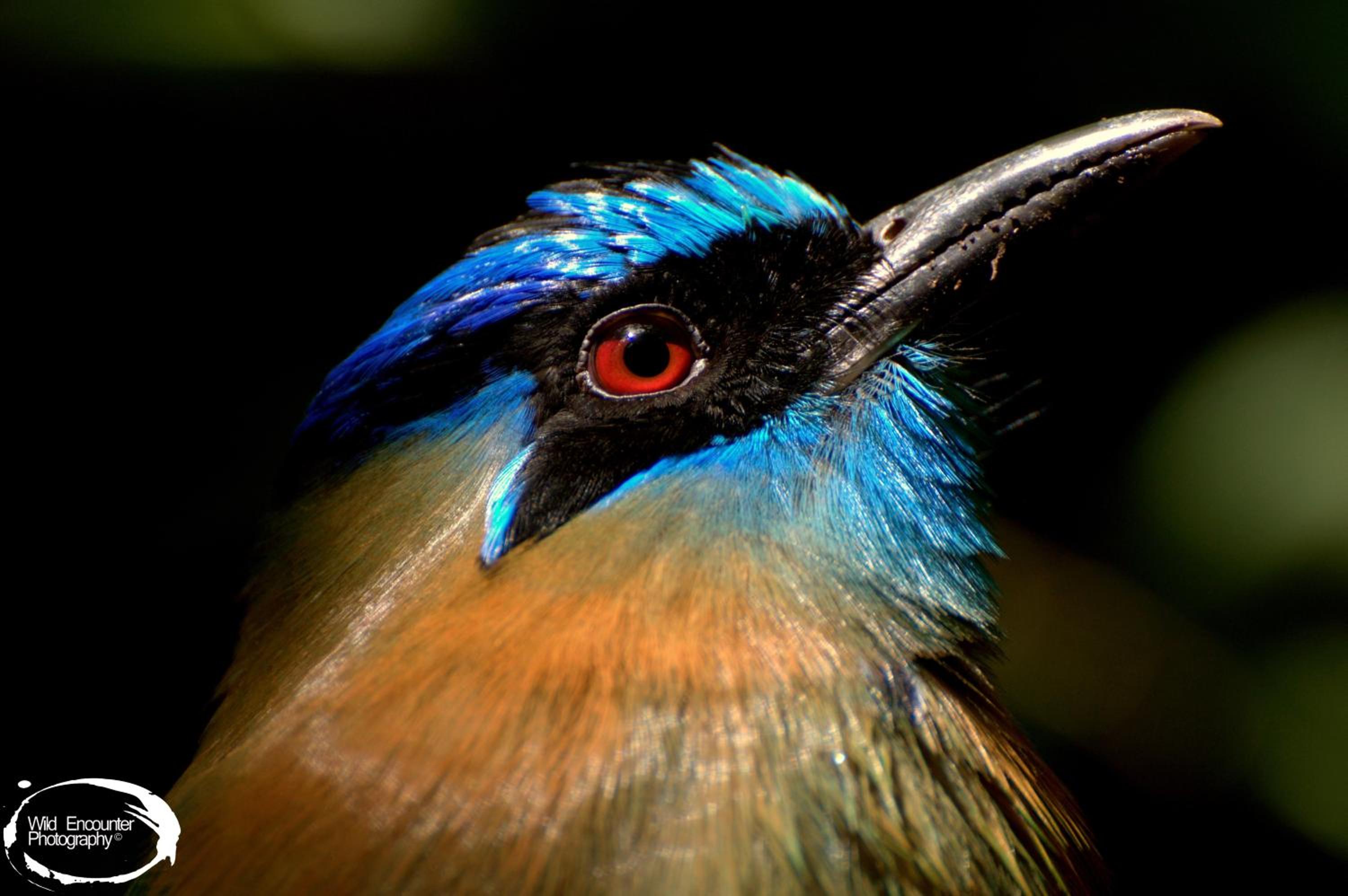 Santuario Ecologico Monteverde