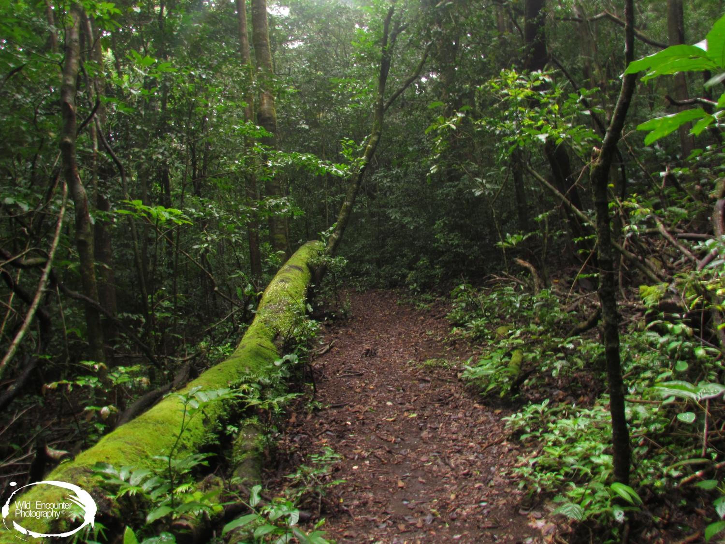 Santuario Ecologico Monteverde