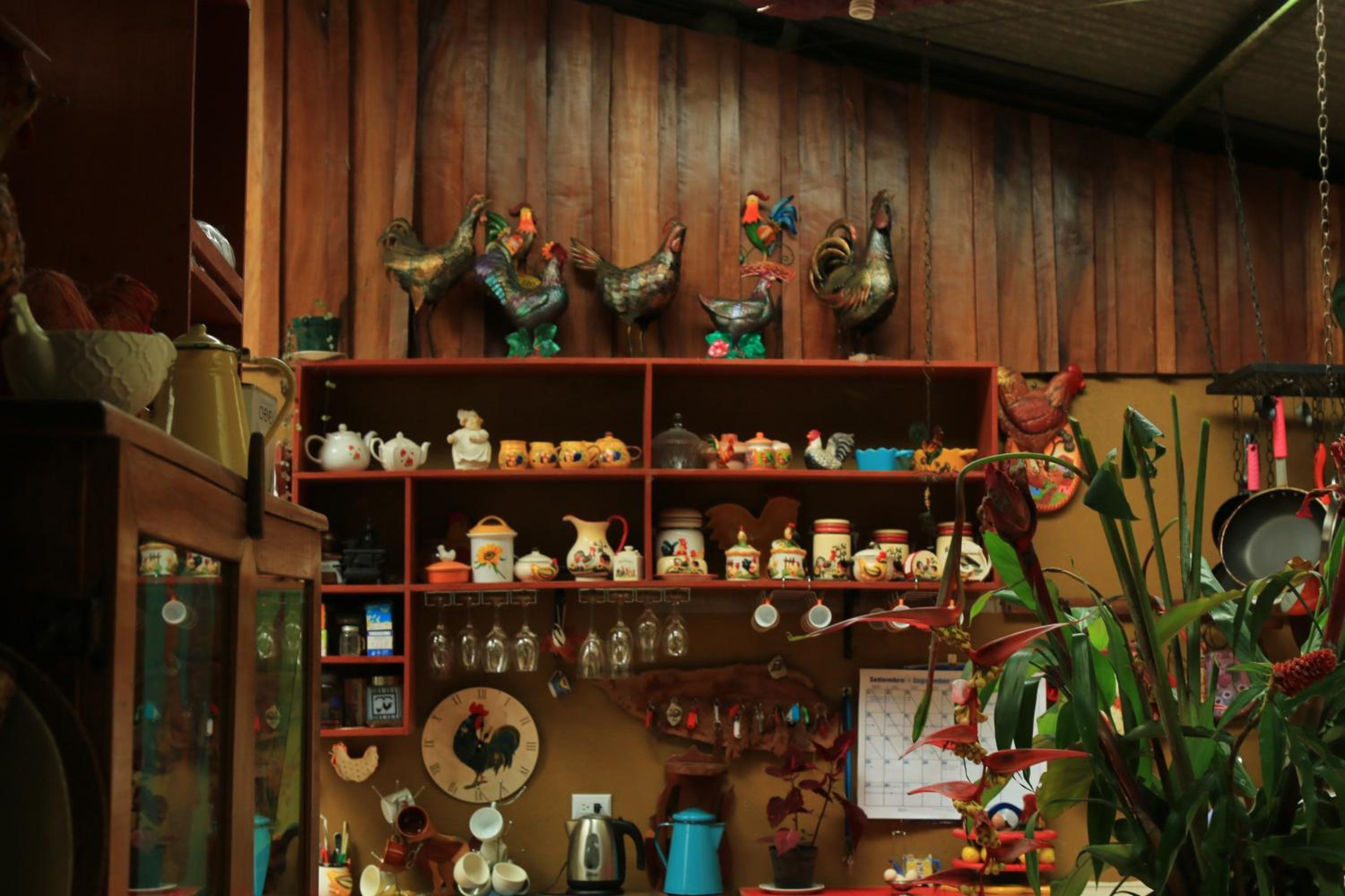 Santuario Ecologico Monteverde