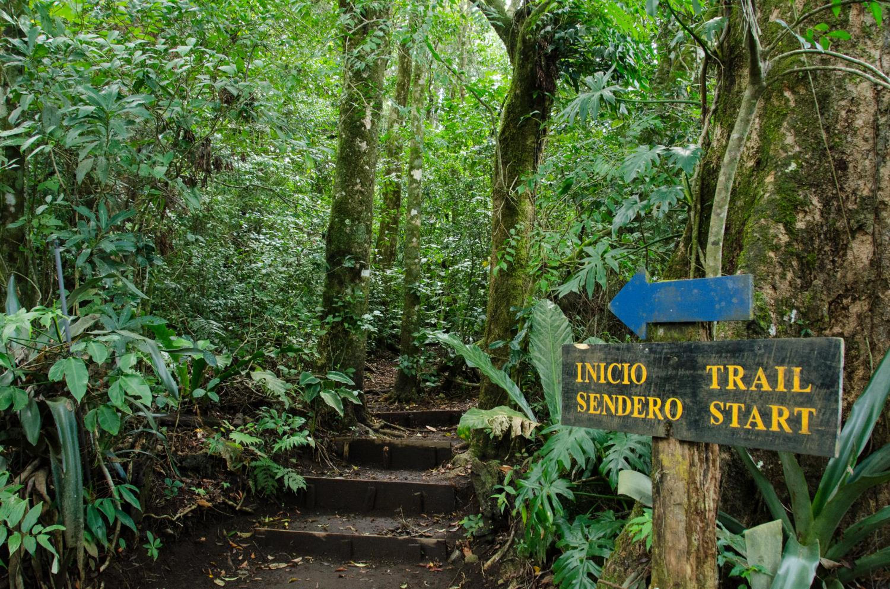 Santuario Ecologico Monteverde