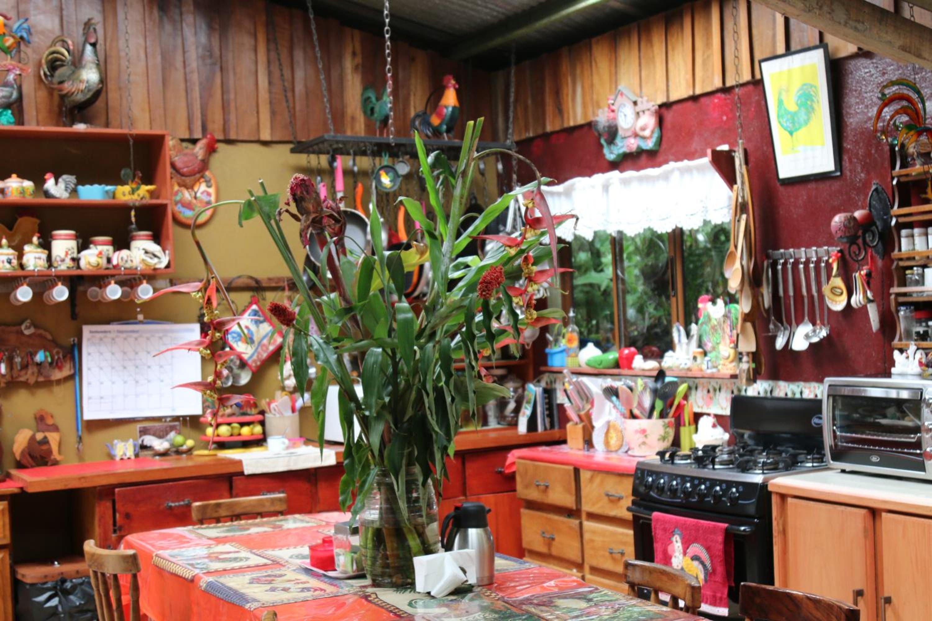 Santuario Ecologico Monteverde