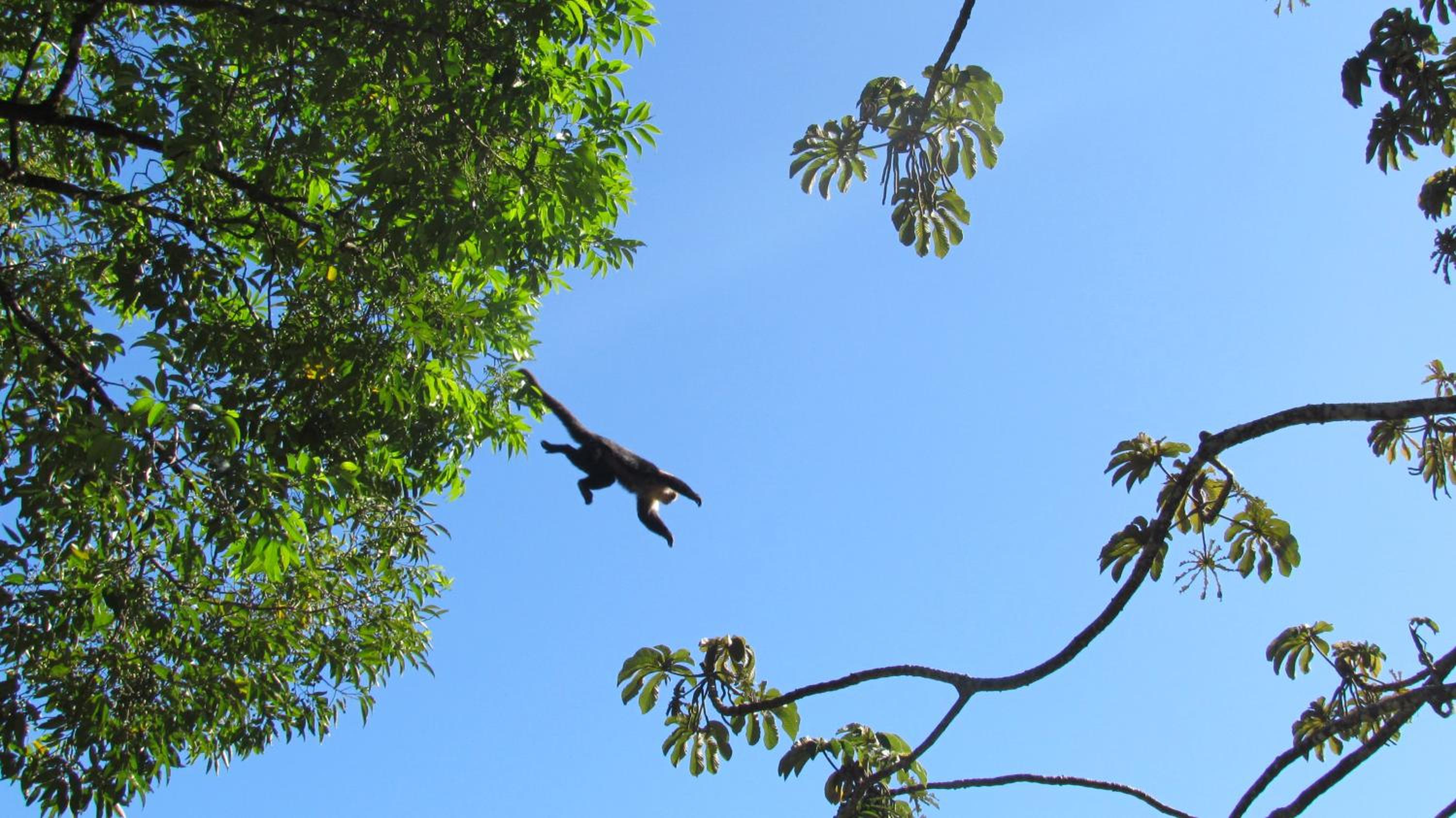 Santuario Ecologico Monteverde