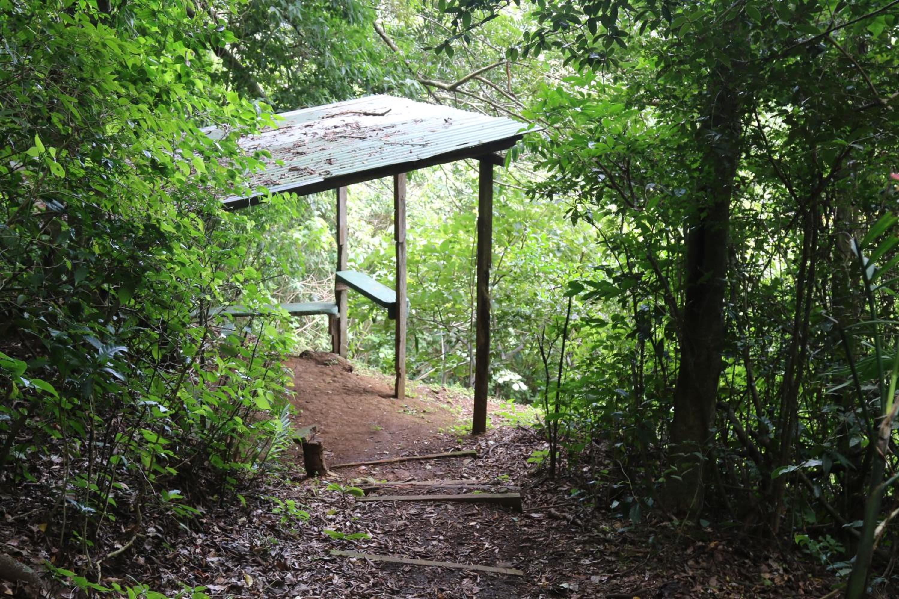 Santuario Ecologico Monteverde