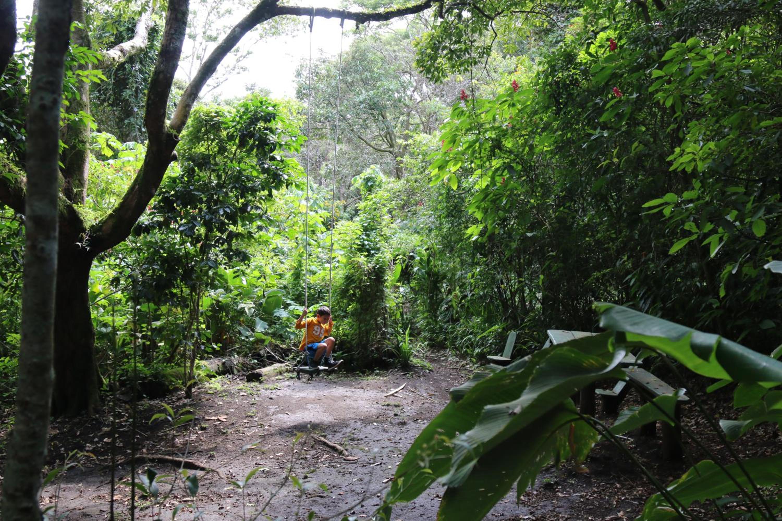 Santuario Ecologico Monteverde
