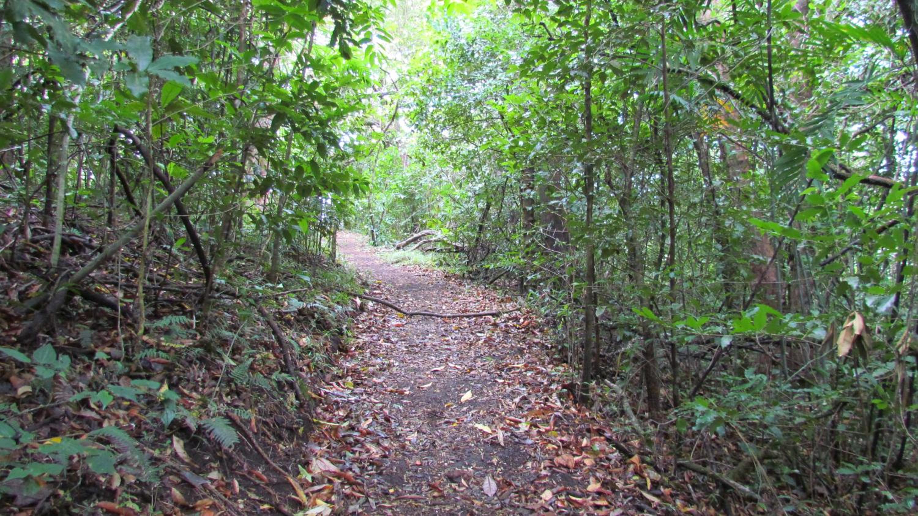 Santuario Ecologico Monteverde