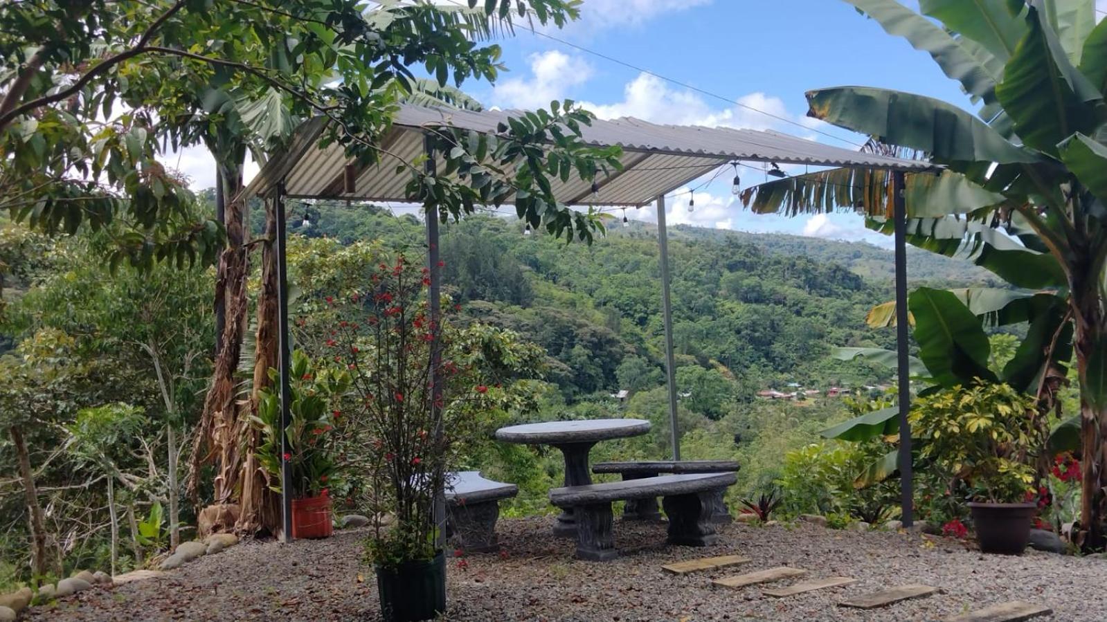 CANTO DEL RIO-Rivas- vista a la montaña- tranquilo