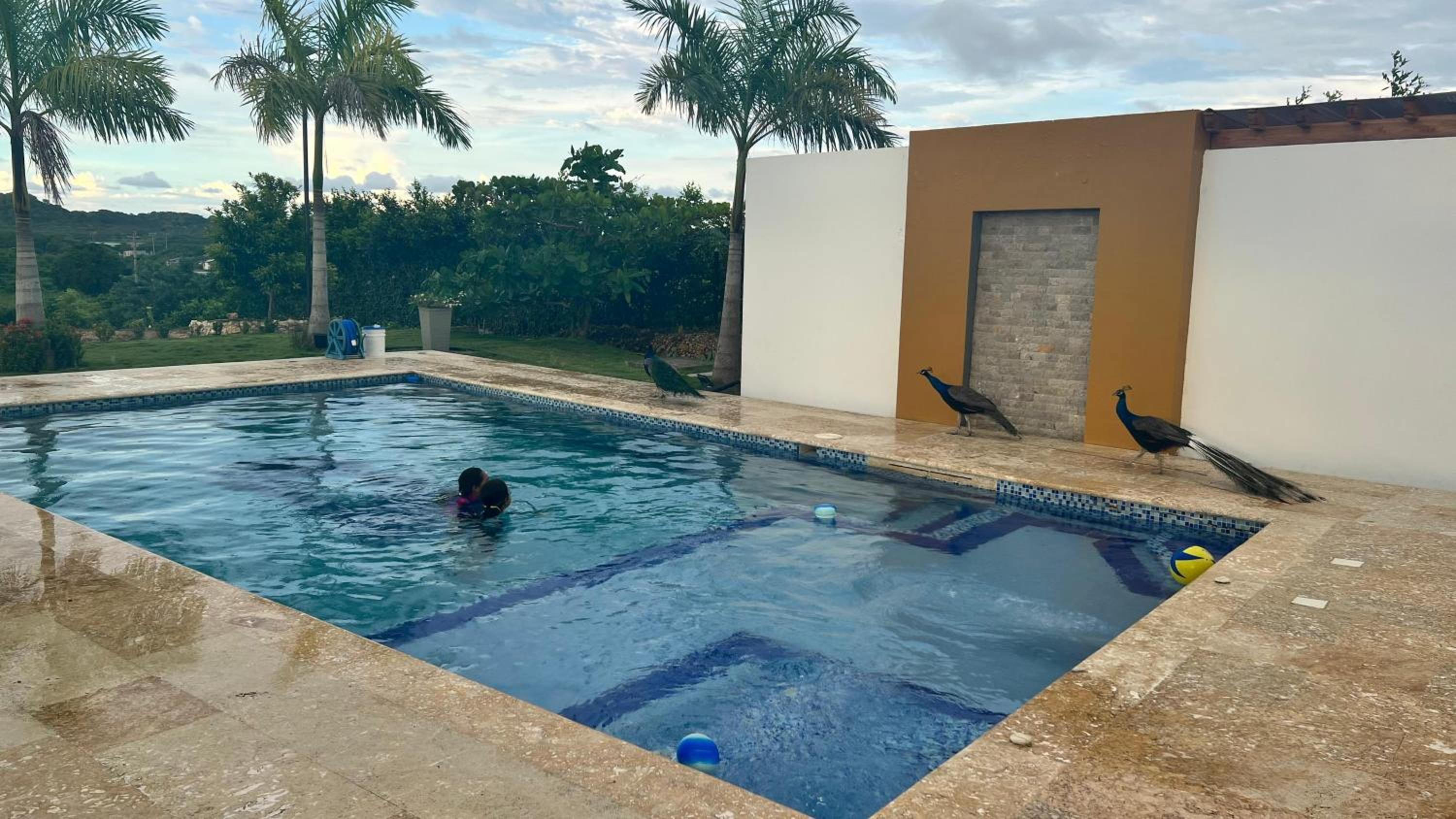 Brisas de barú