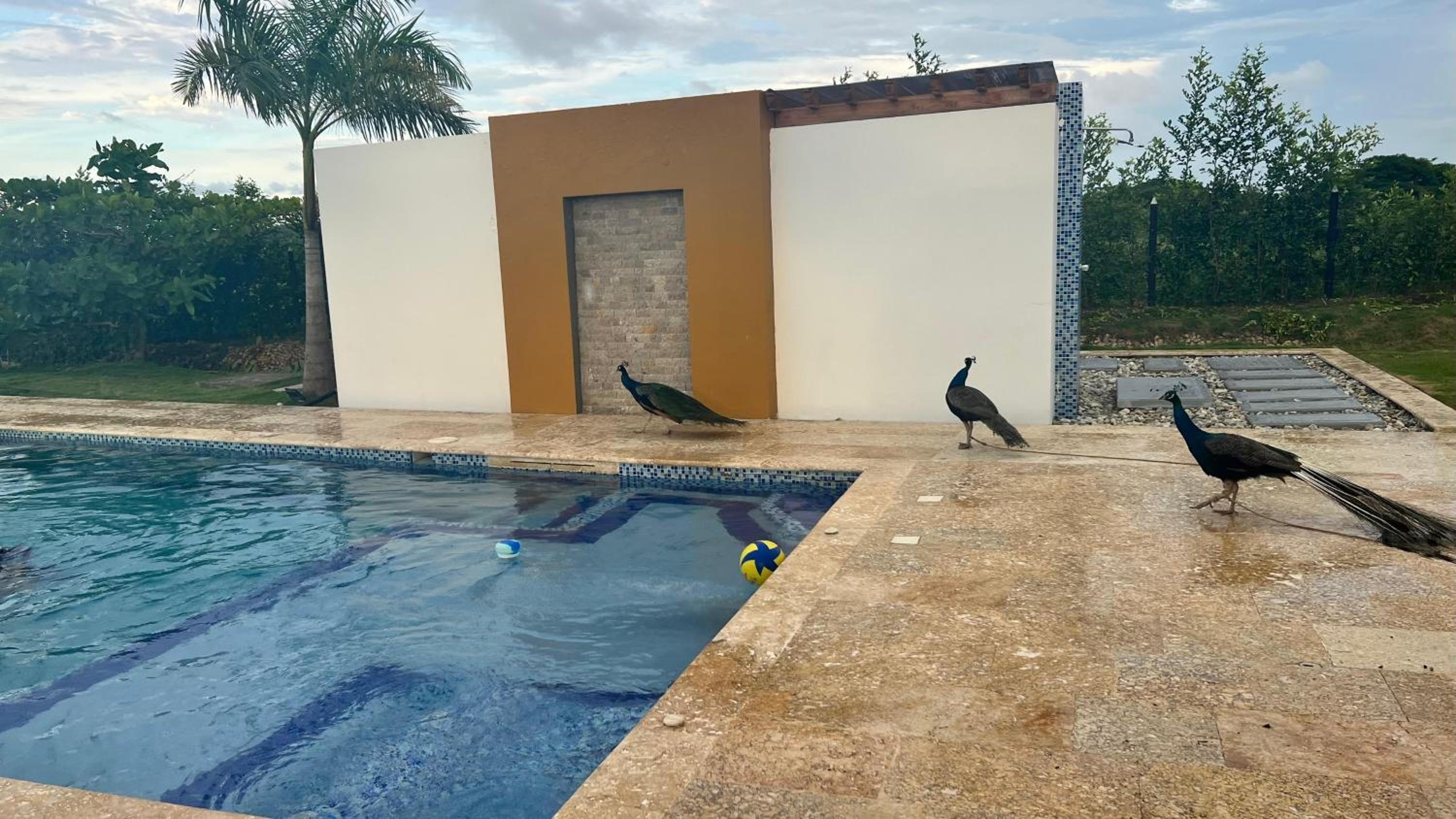 Brisas de barú