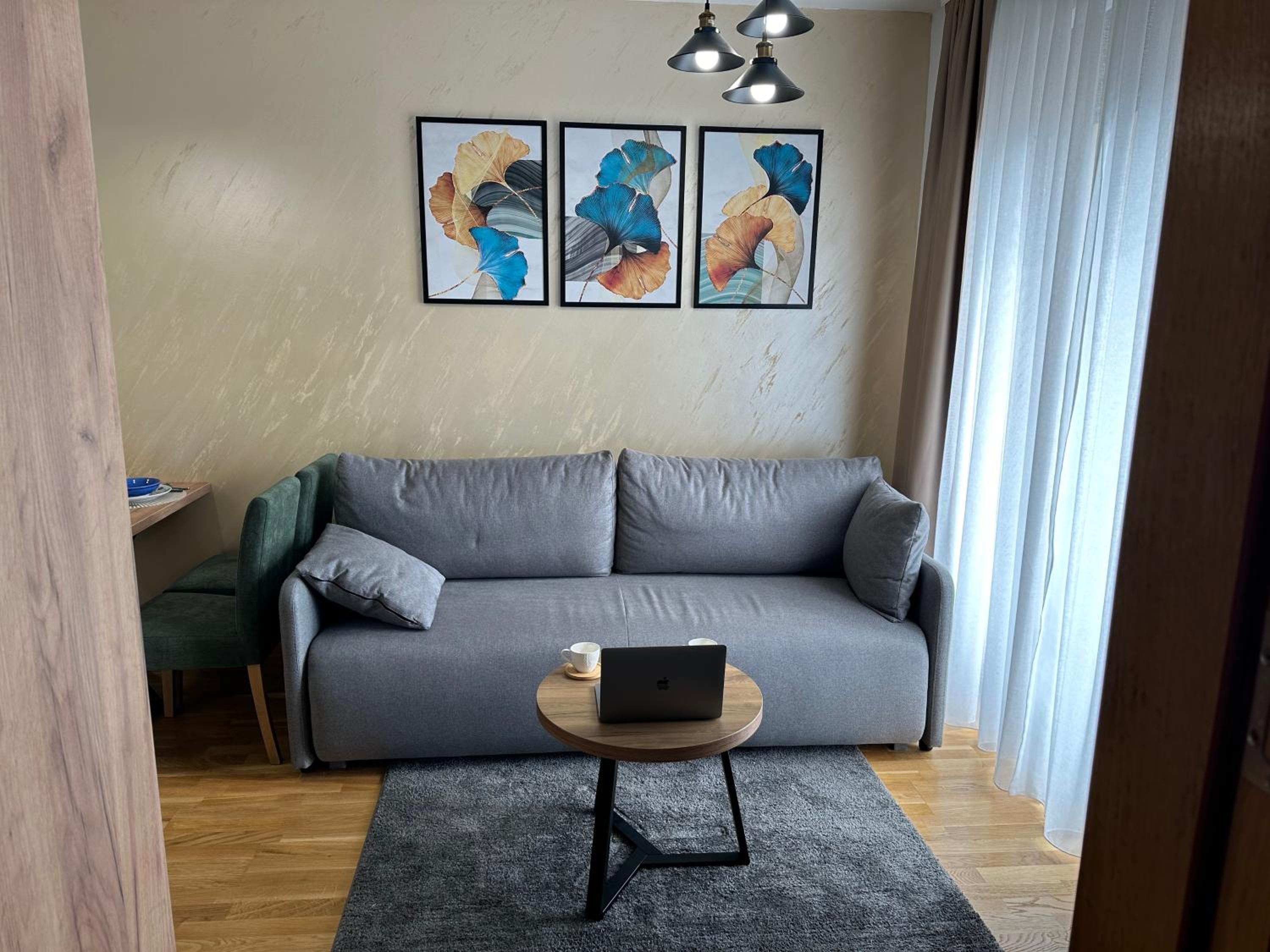 Apartman A79 Zlatibor view 5