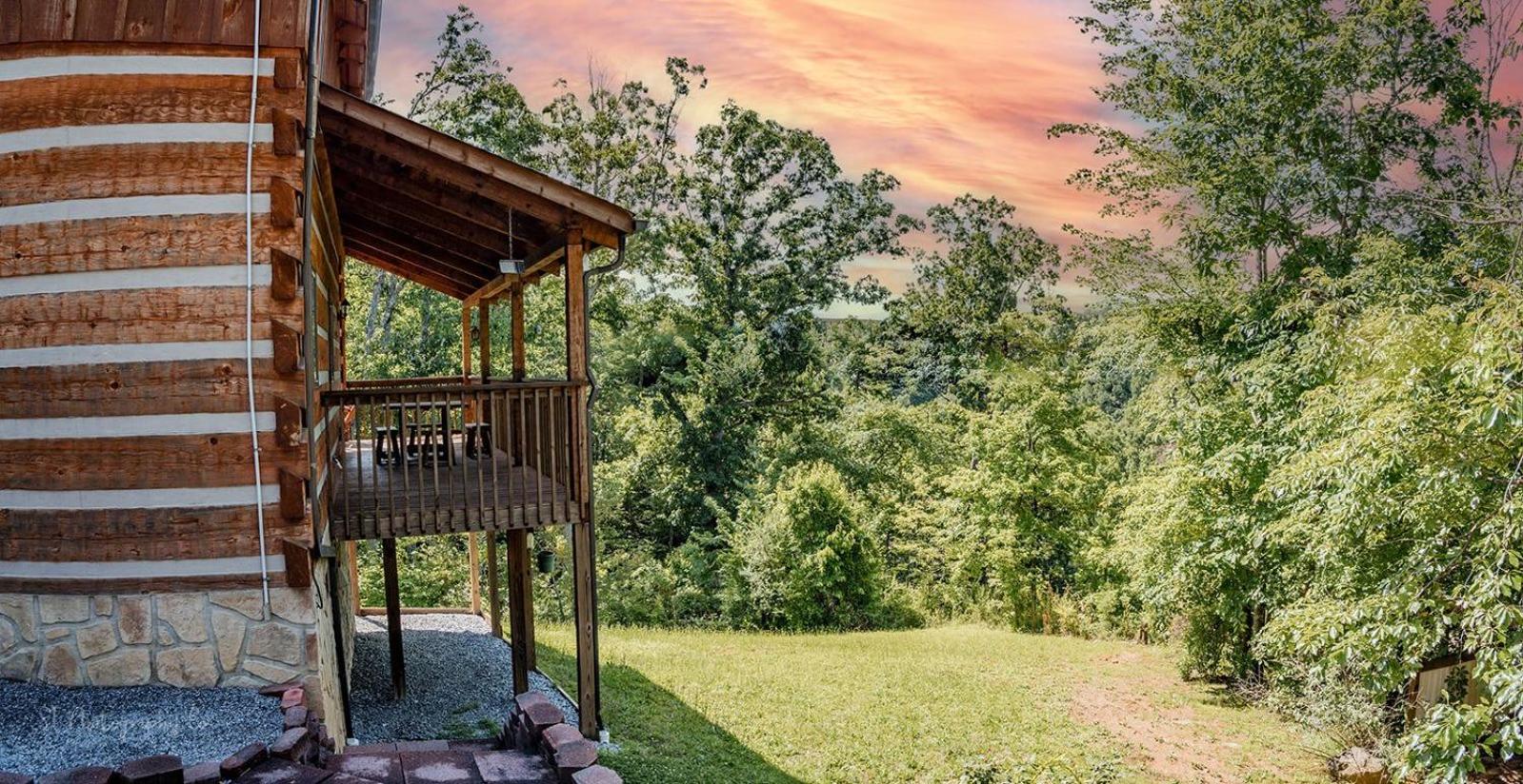 Photo 11