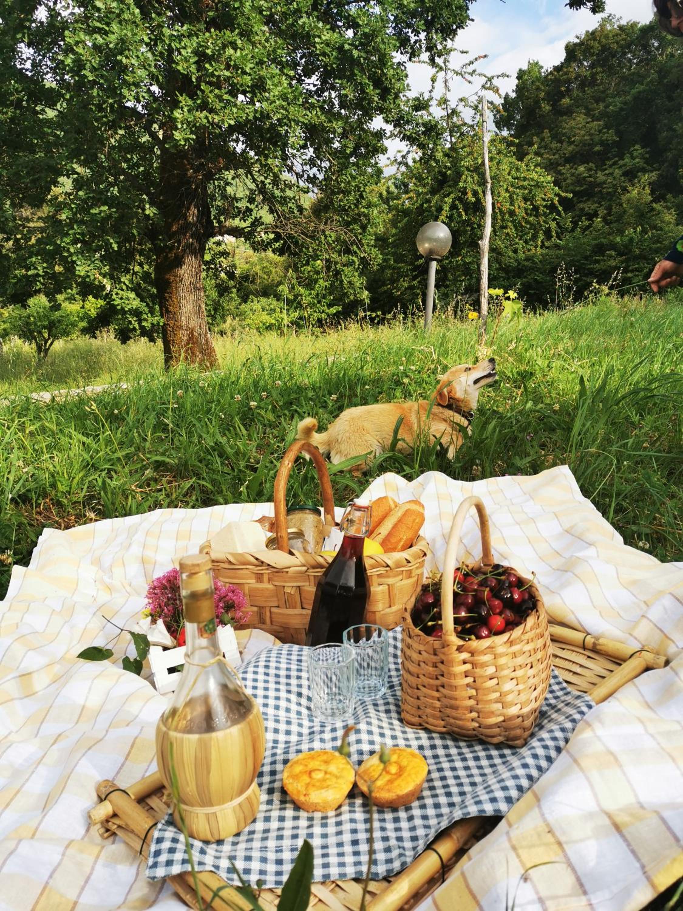 Agriturismo Donna Bianca