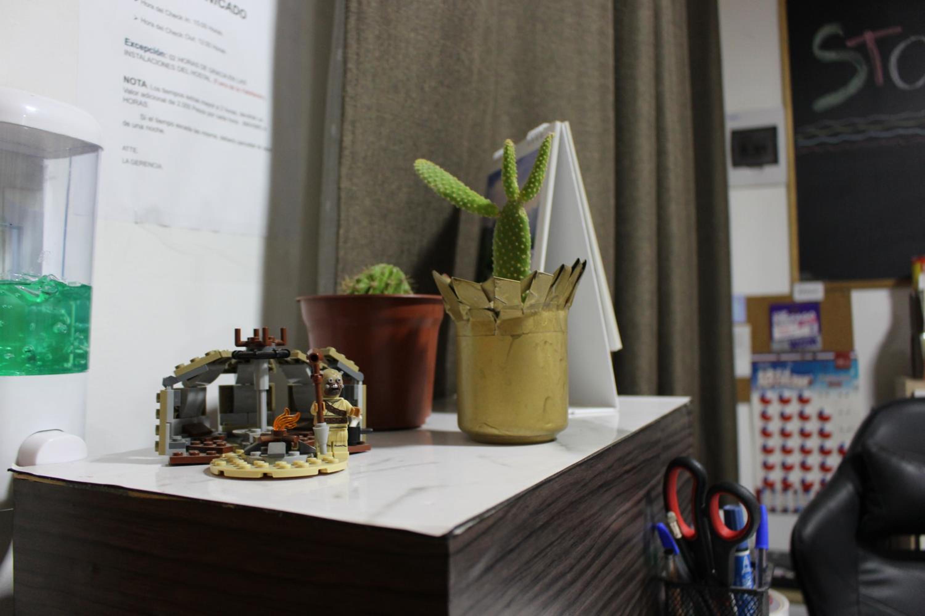 Photo 19