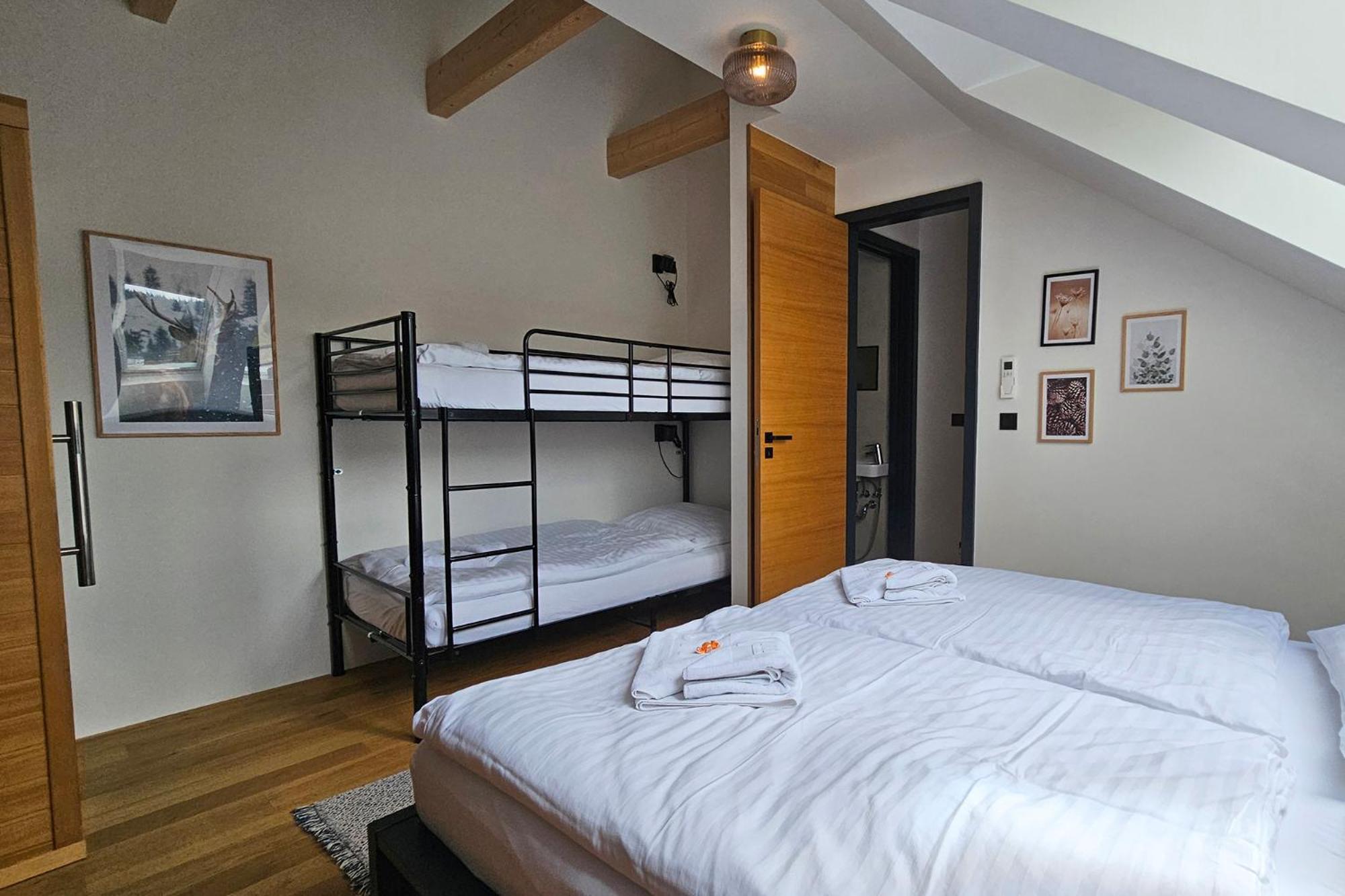 ENJOYHARRACHOV - Atraktivní slunný klimatizovaný apartmán 14 v centru se saunou, parkováním, Wifi-WLAN, SAT, herní konzolí, PC s win 10, Netflix zdarma a m