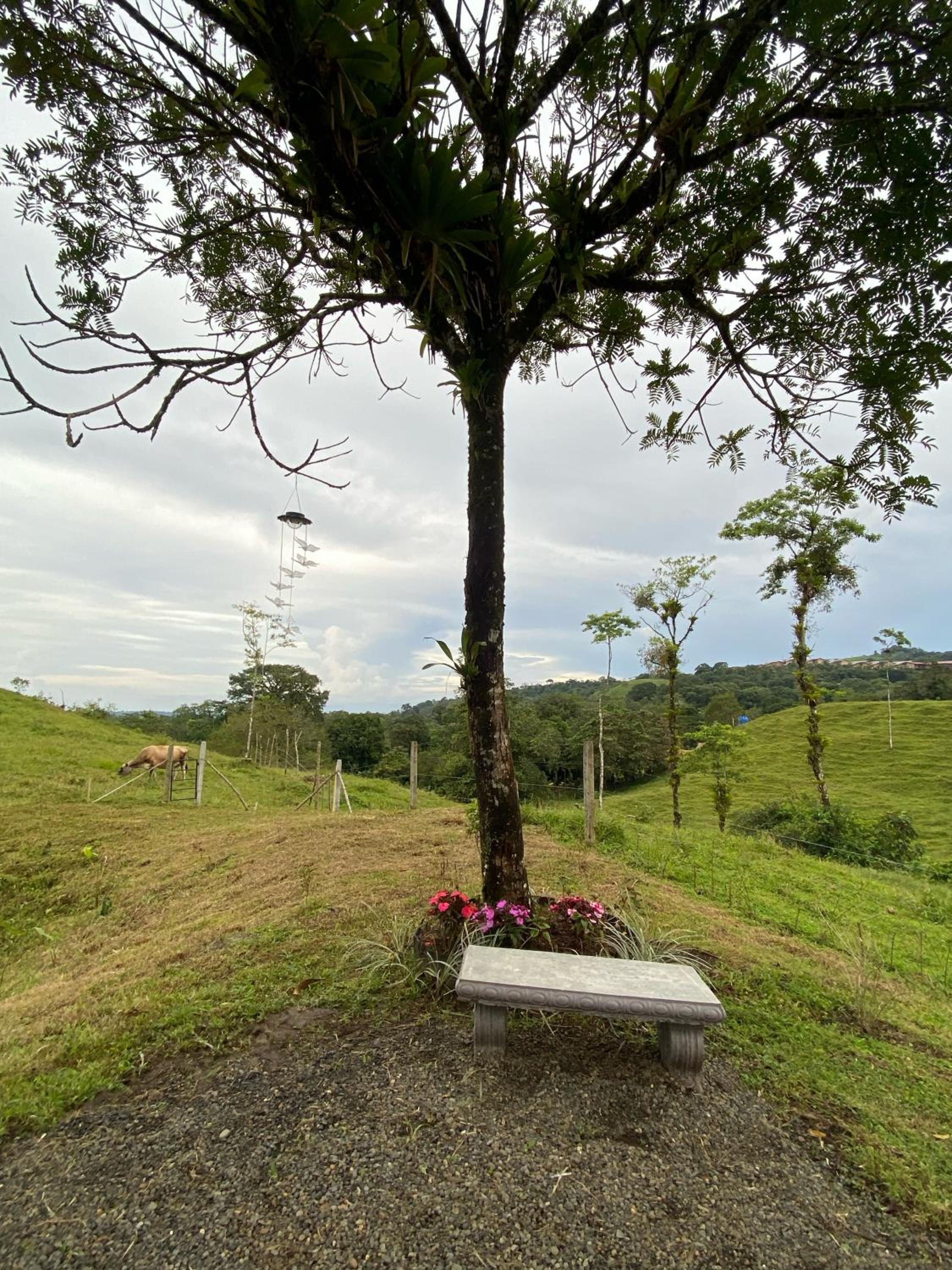 Paraíso privado Arenal Dragonfly