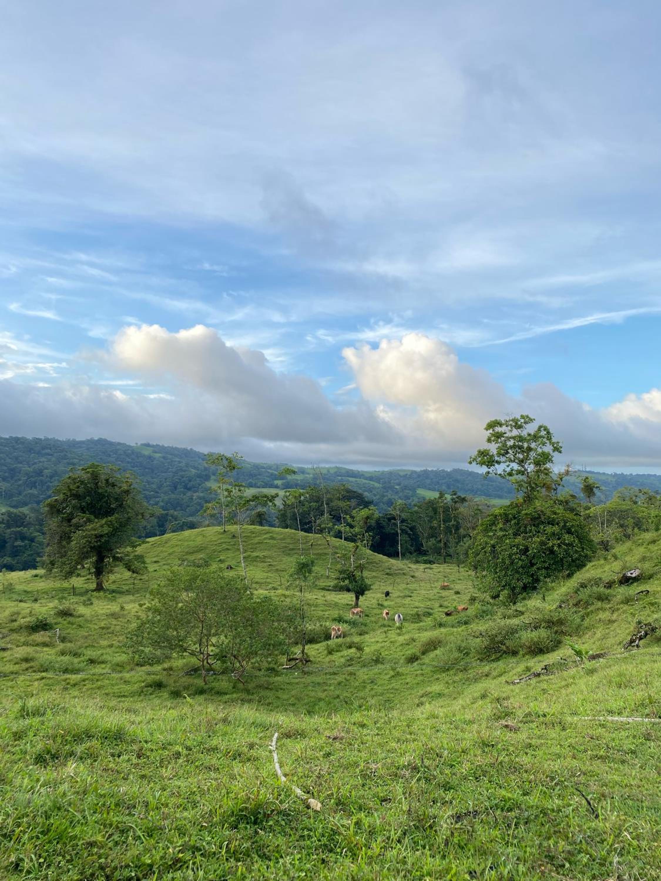 Paraíso privado Arenal Dragonfly