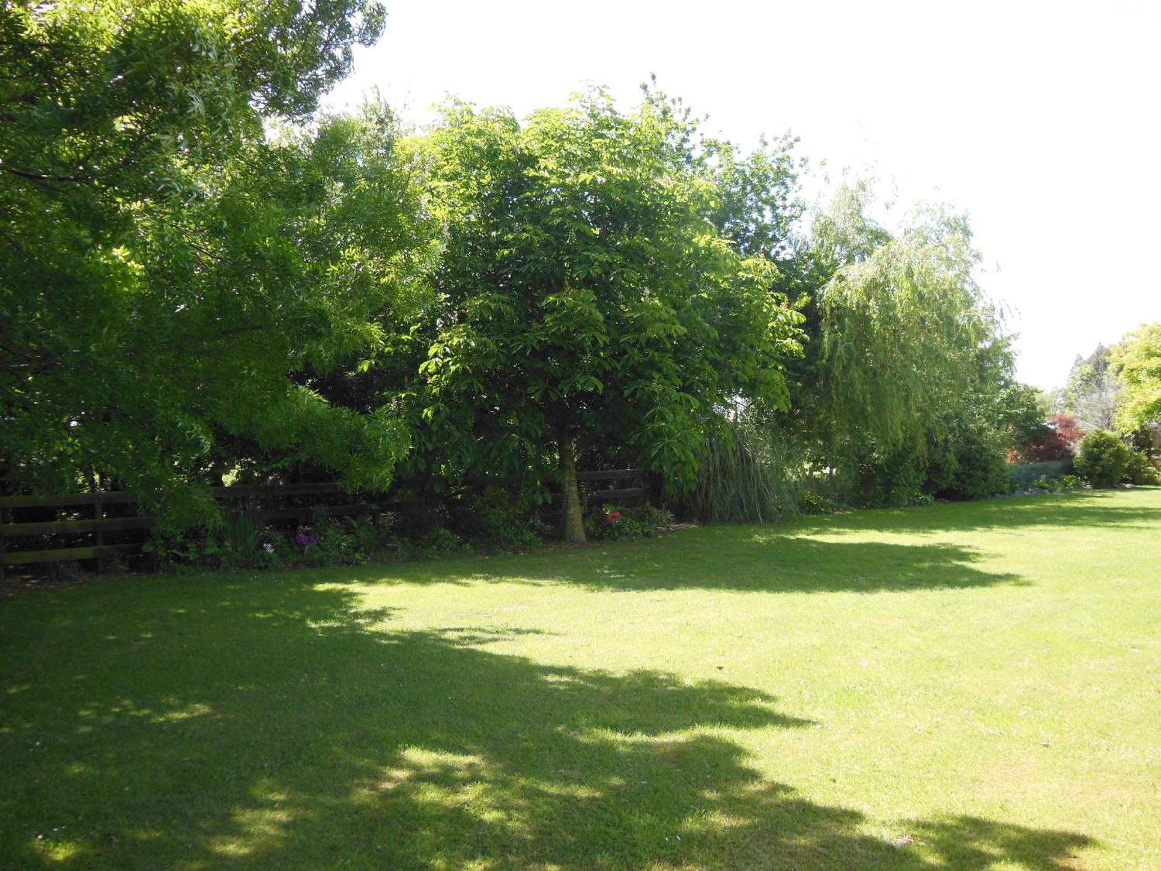 Photo 30