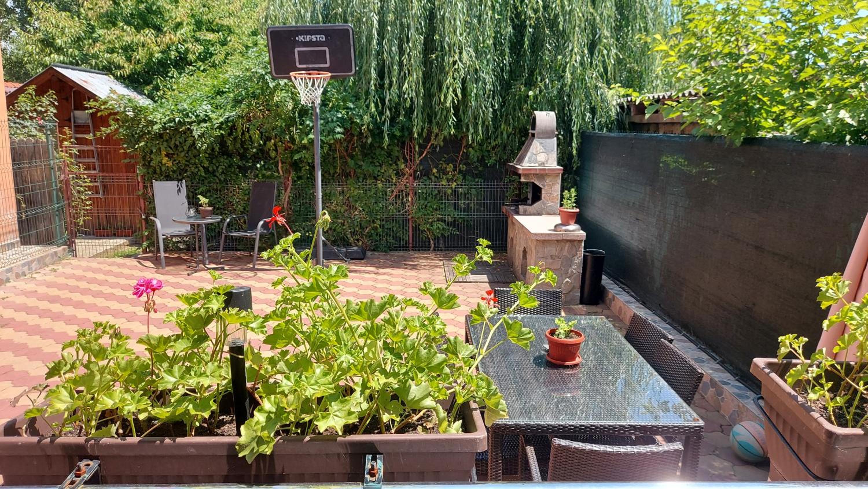 Casa de vacanță Iulian view 2