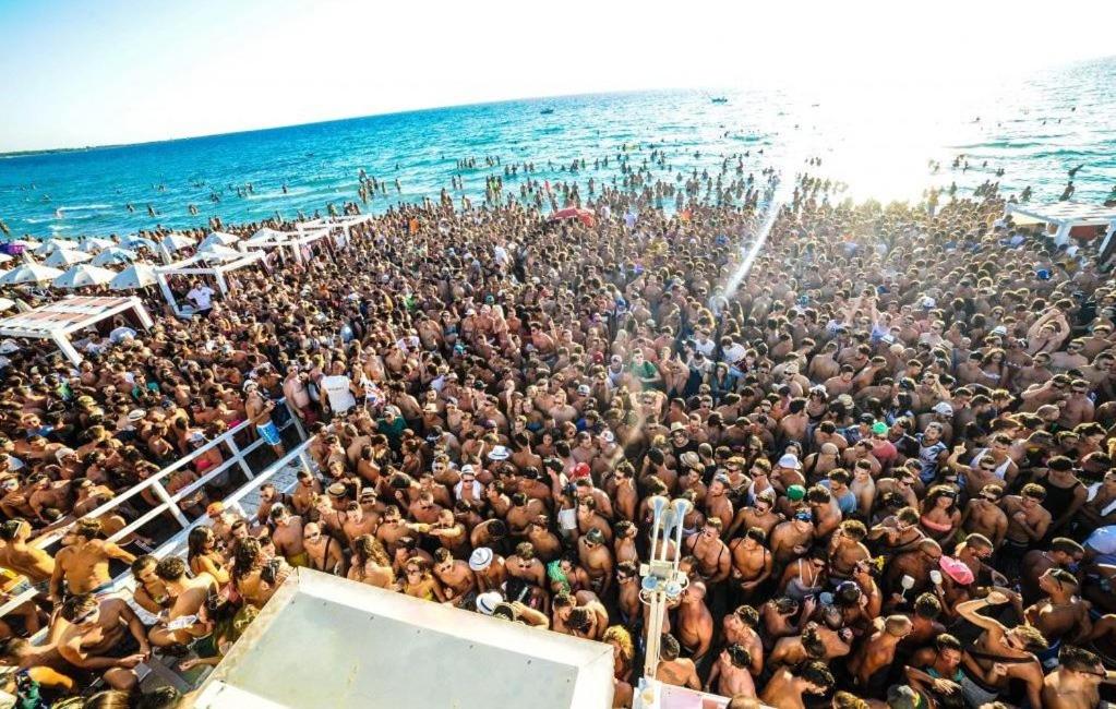 La Maison De Luis photo 3