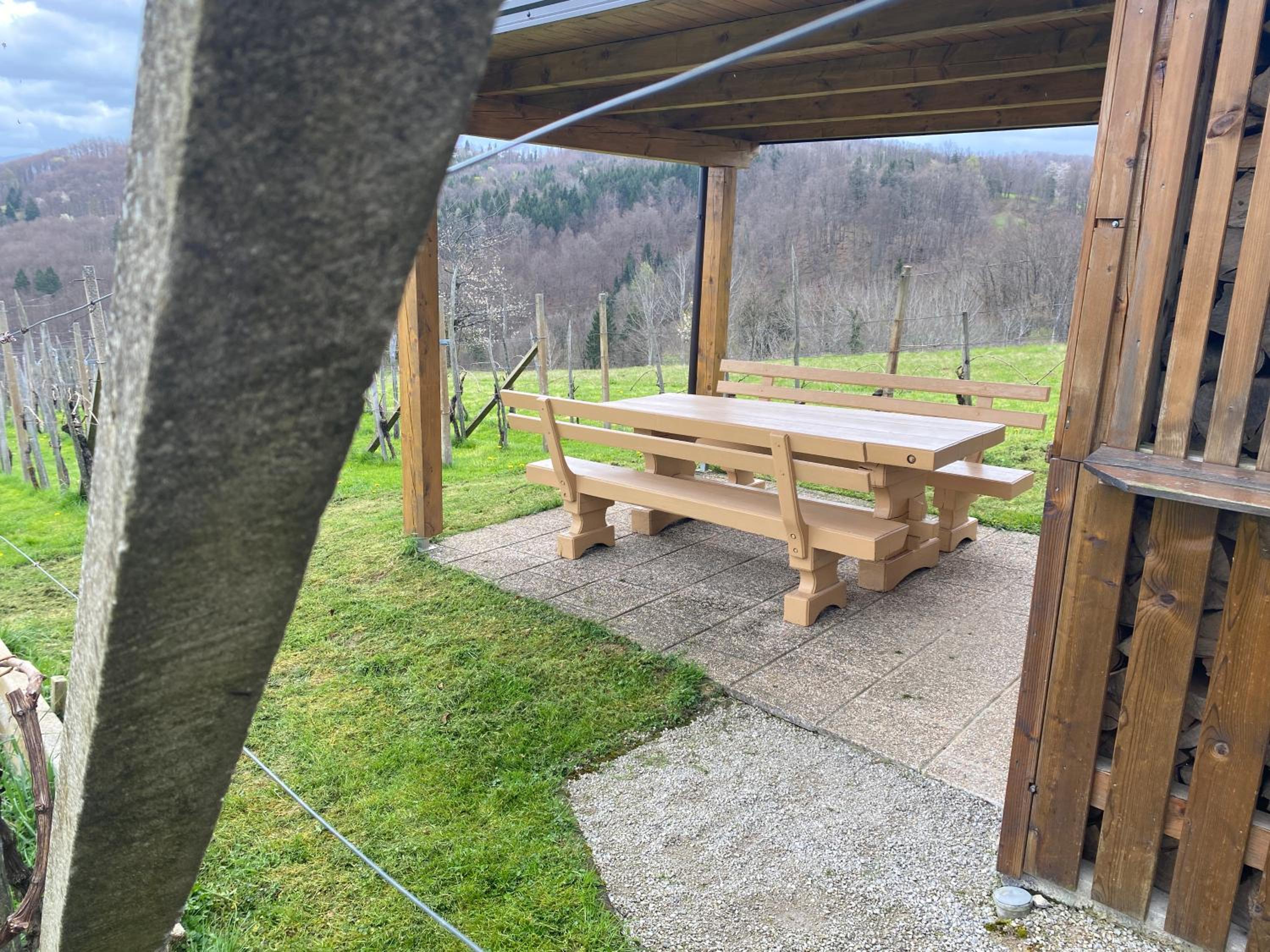 Vineyard Cottage Rigelj view 5