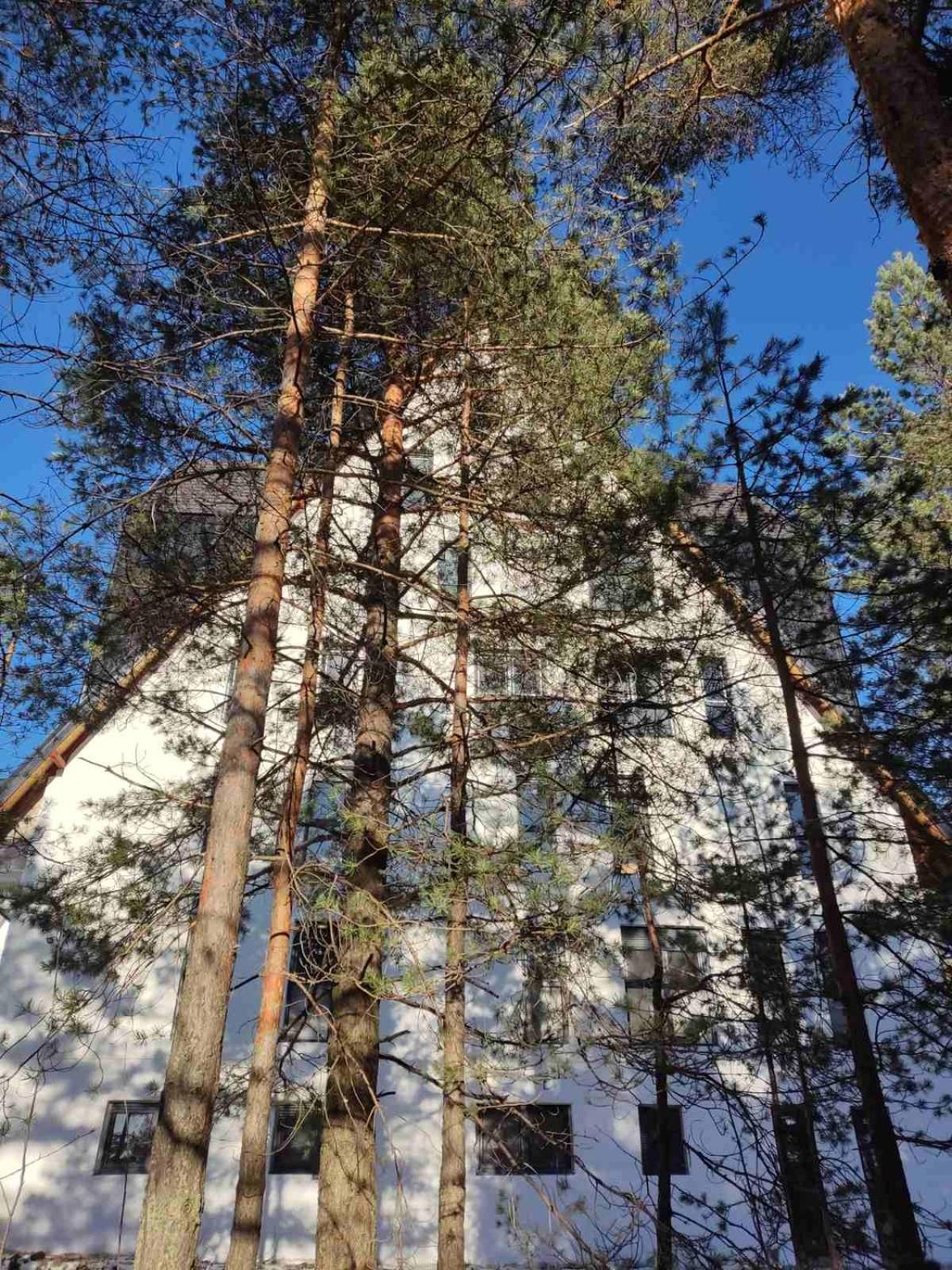 Studio Planinski san Divčibare